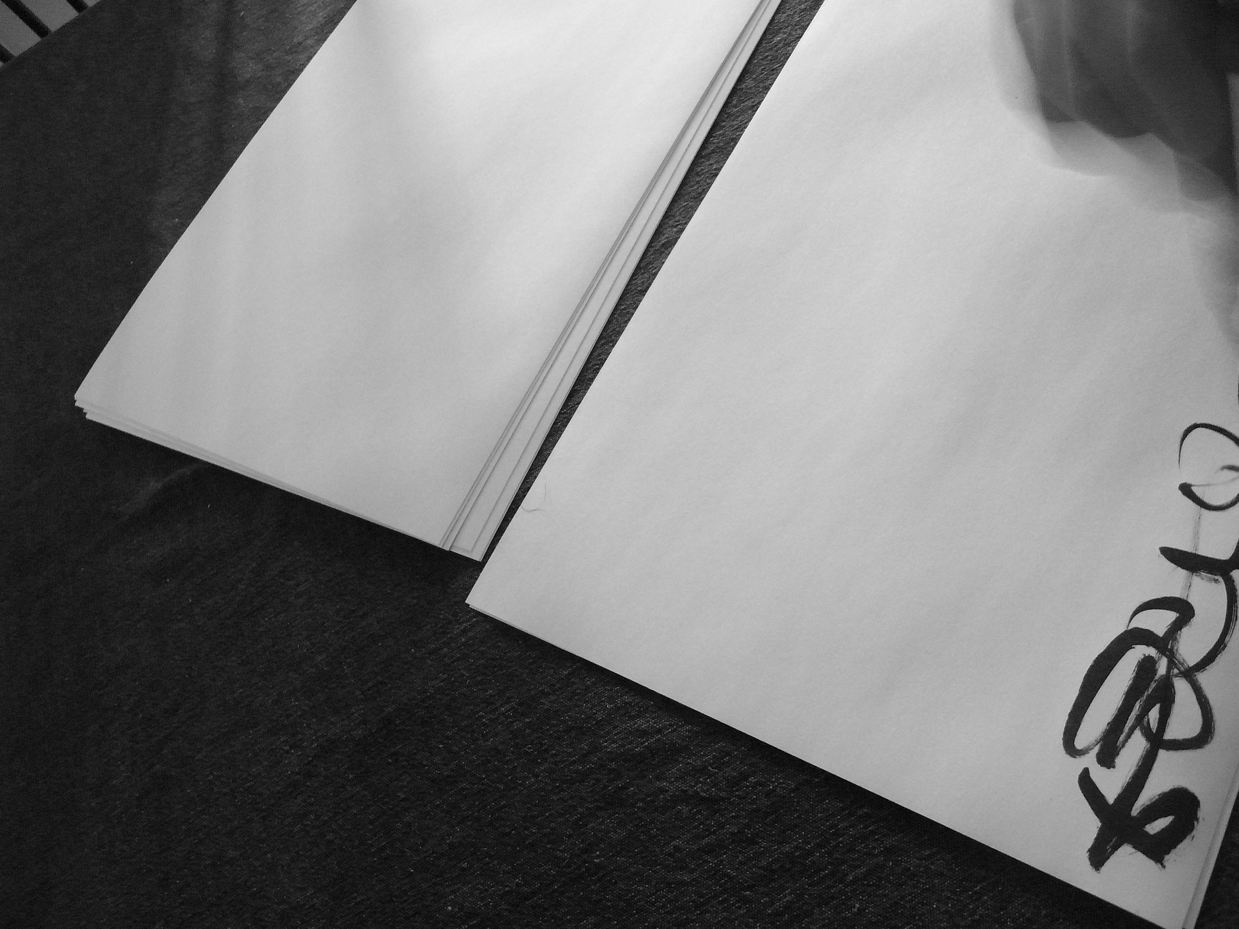 Kevin-Brown-Calligraphy-Constitution-R0019826.JPG