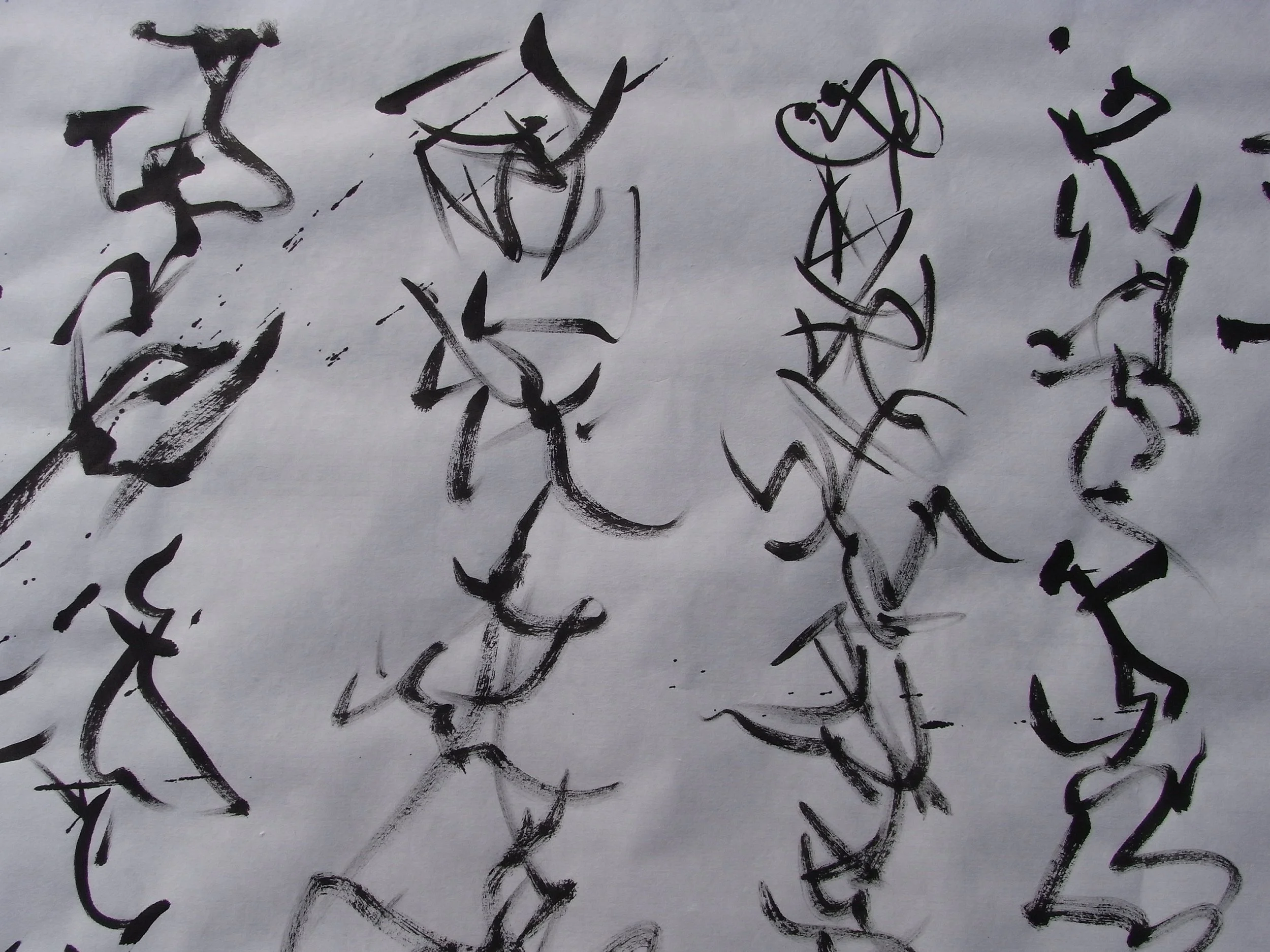 Kevin-Brown-Calligraphy-Praying-Mantis-RIMG1225.JPG
