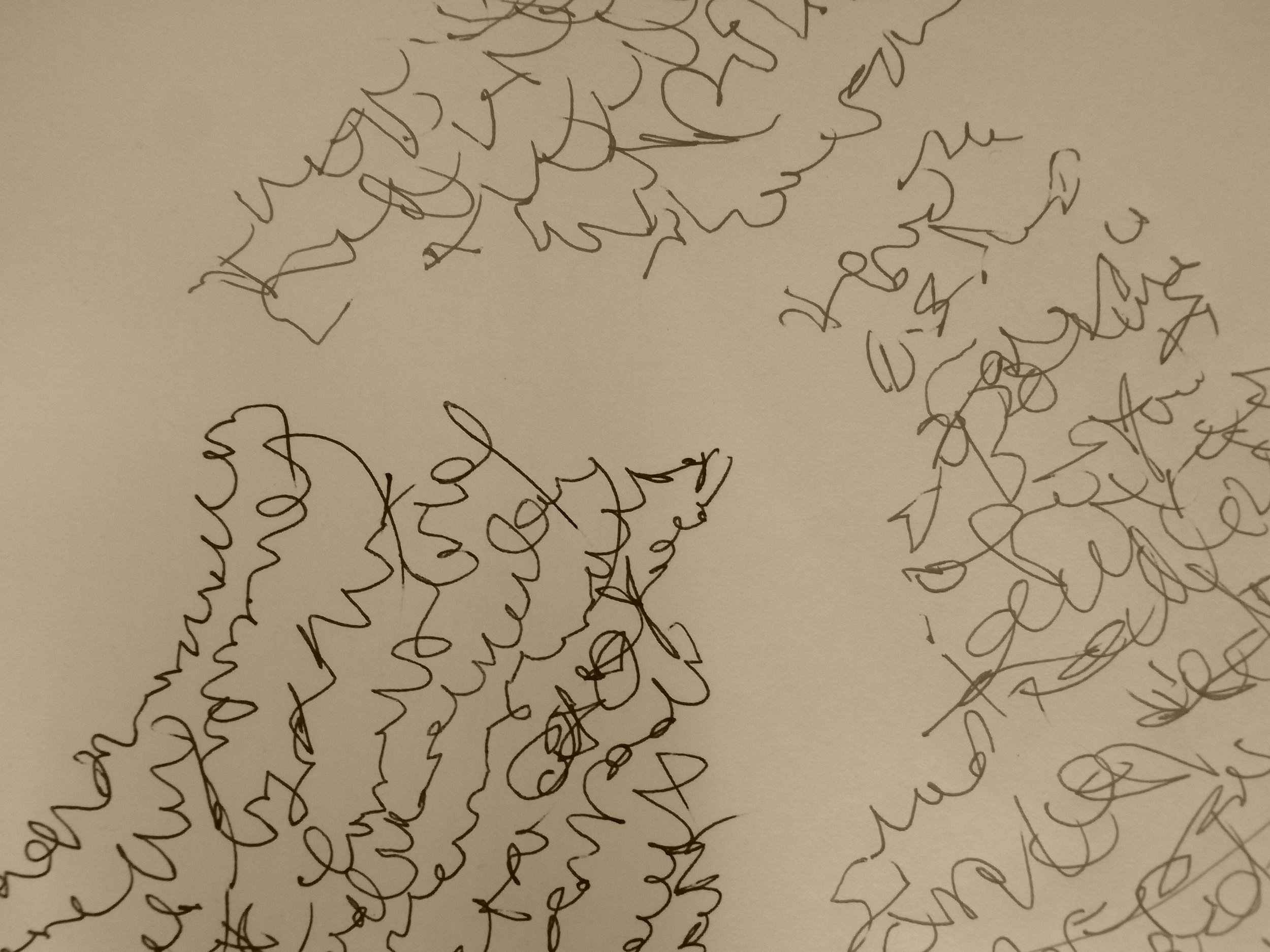 Kevin-Brown-Calligraphy-Book-RIMG1568.JPG