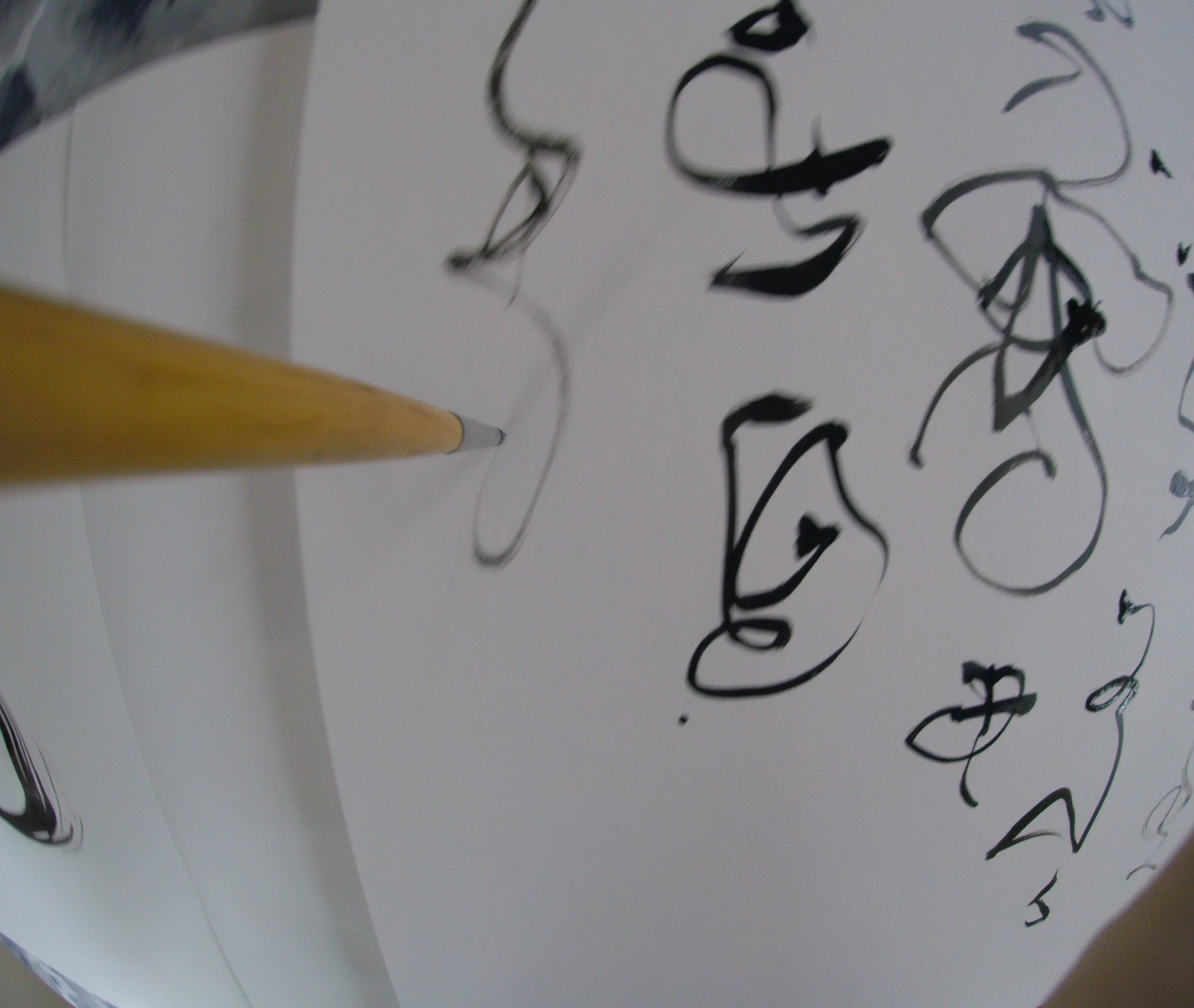 Kevin-Brown-Calligraphy-Brush-POV-G0080297.JPG