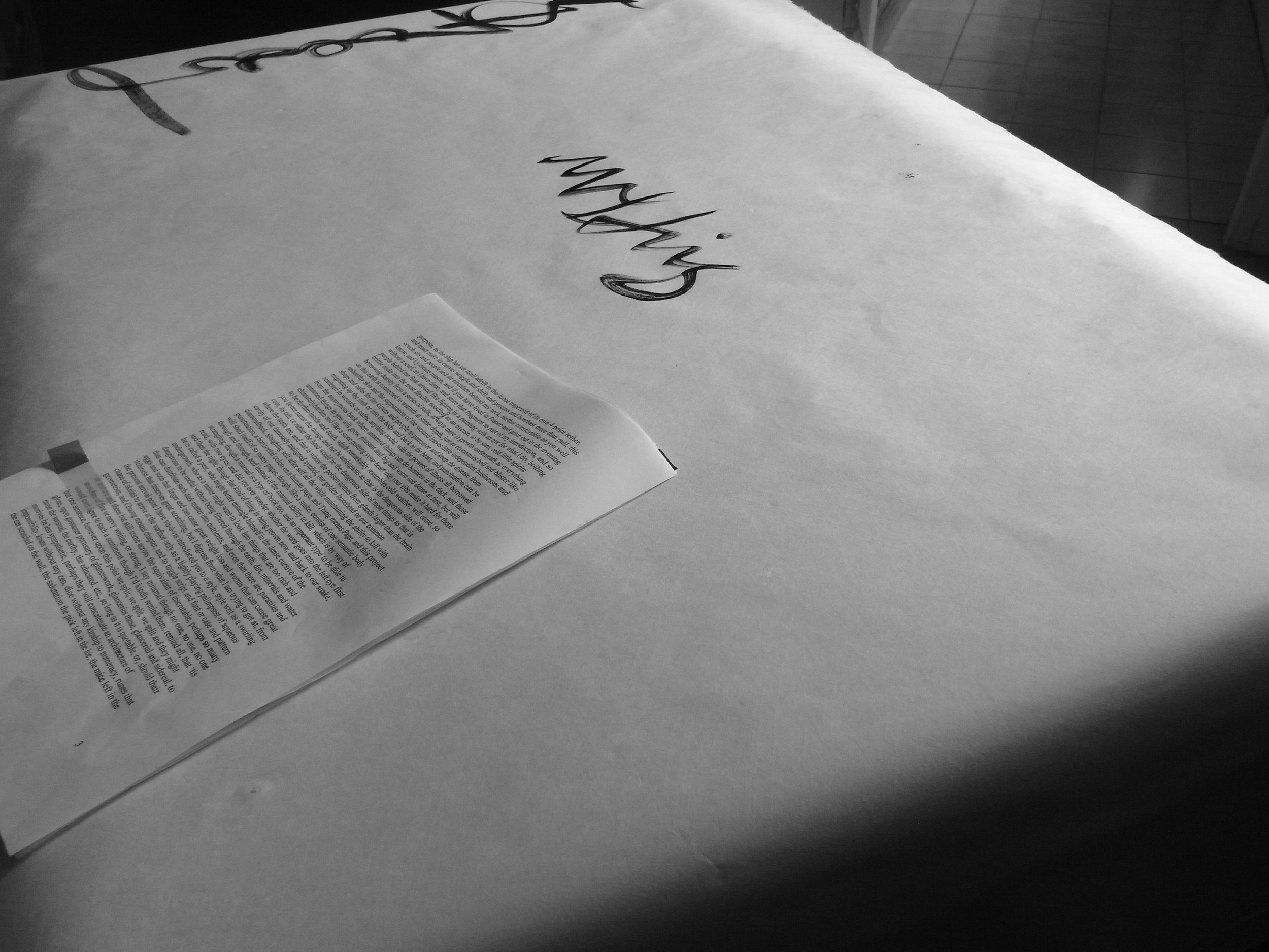 Kevin-Brown-Calligraphy-Life-Sentence-XIII-R0038072.JPG