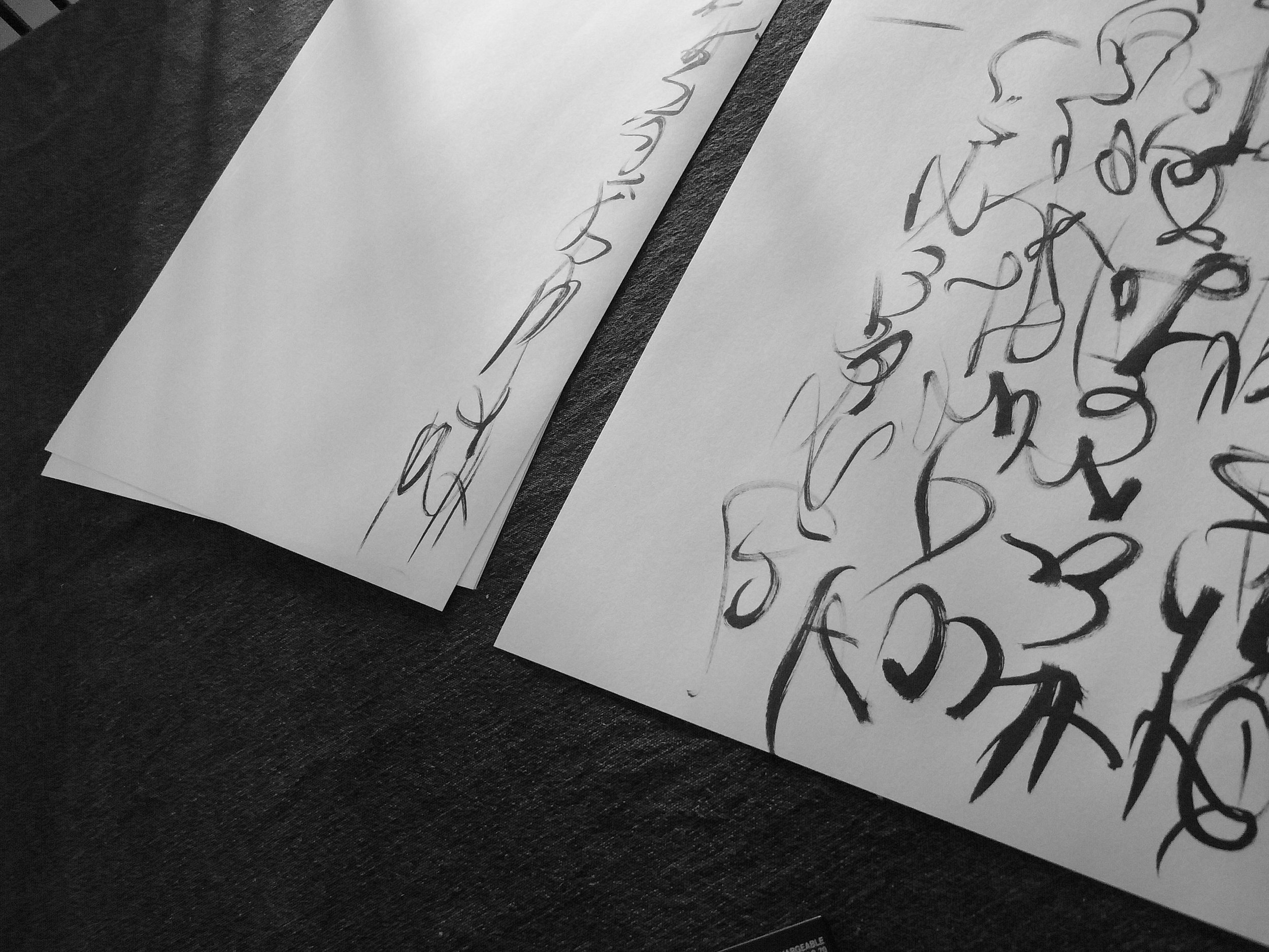 Kevin-Brown-Calligraphy-Constitution-R0019991.JPG
