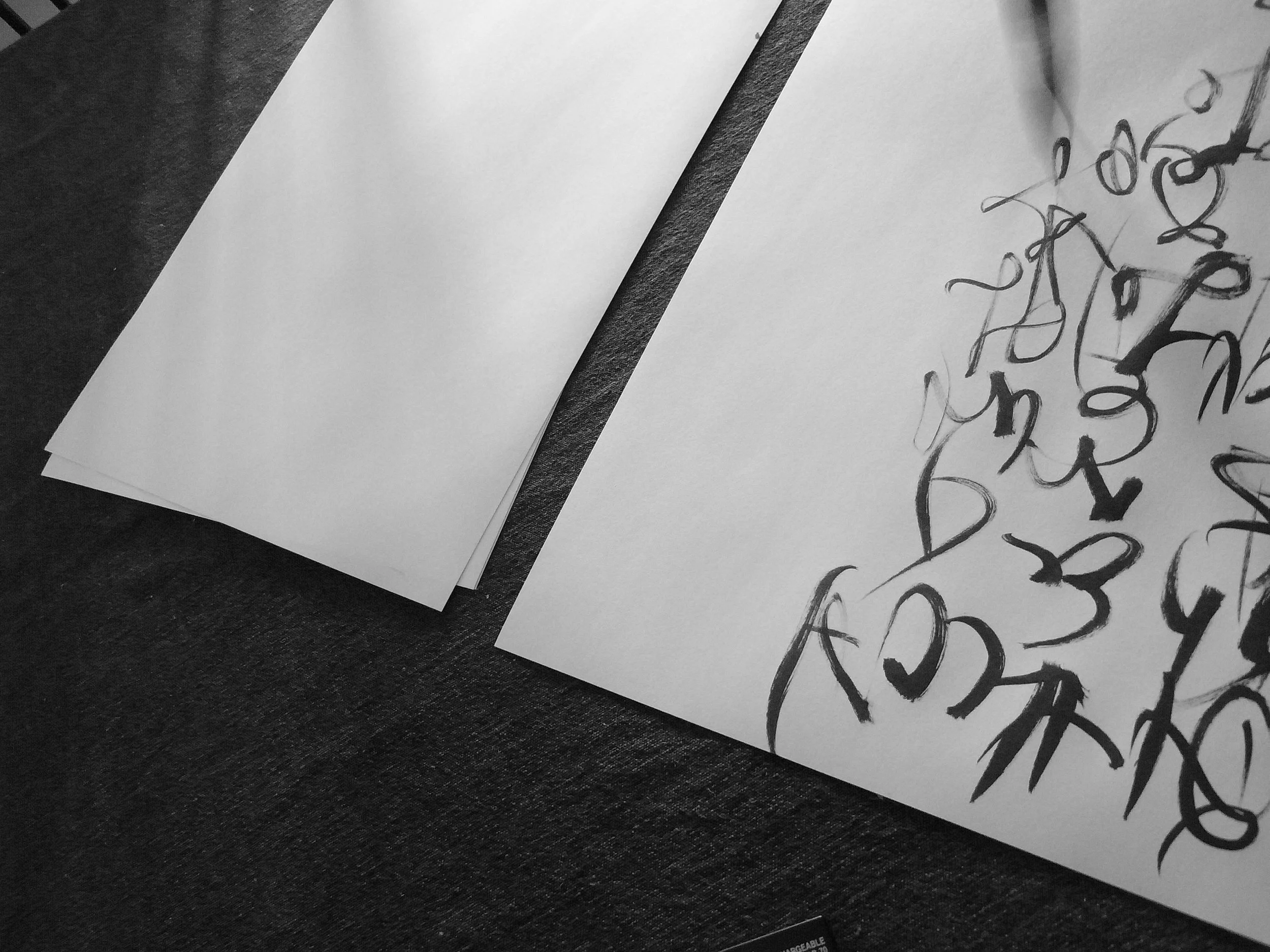 Kevin-Brown-Calligraphy-Constitution-R0019976.JPG