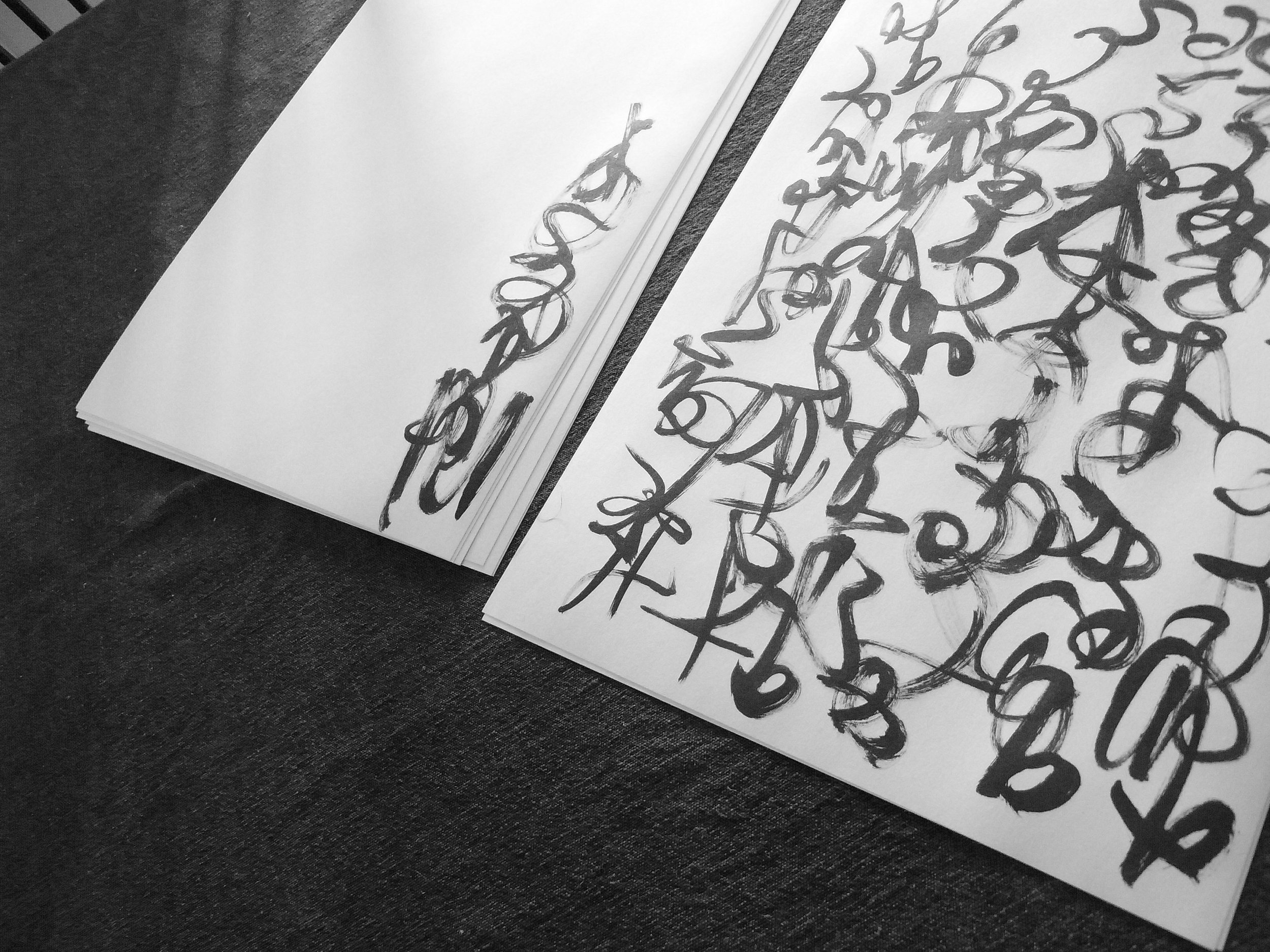 Kevin-Brown-Calligraphy-Constitution-R0019868.JPG