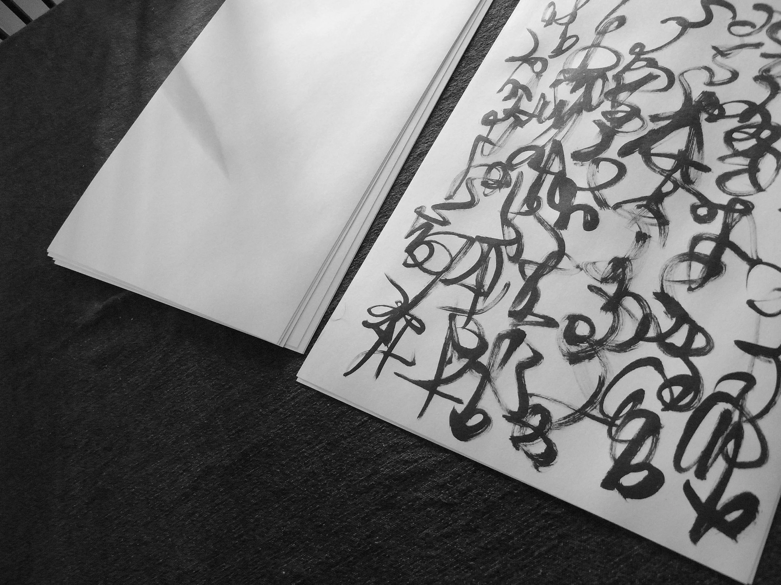 Kevin-Brown-Calligraphy-Constitution-R0019862.JPG