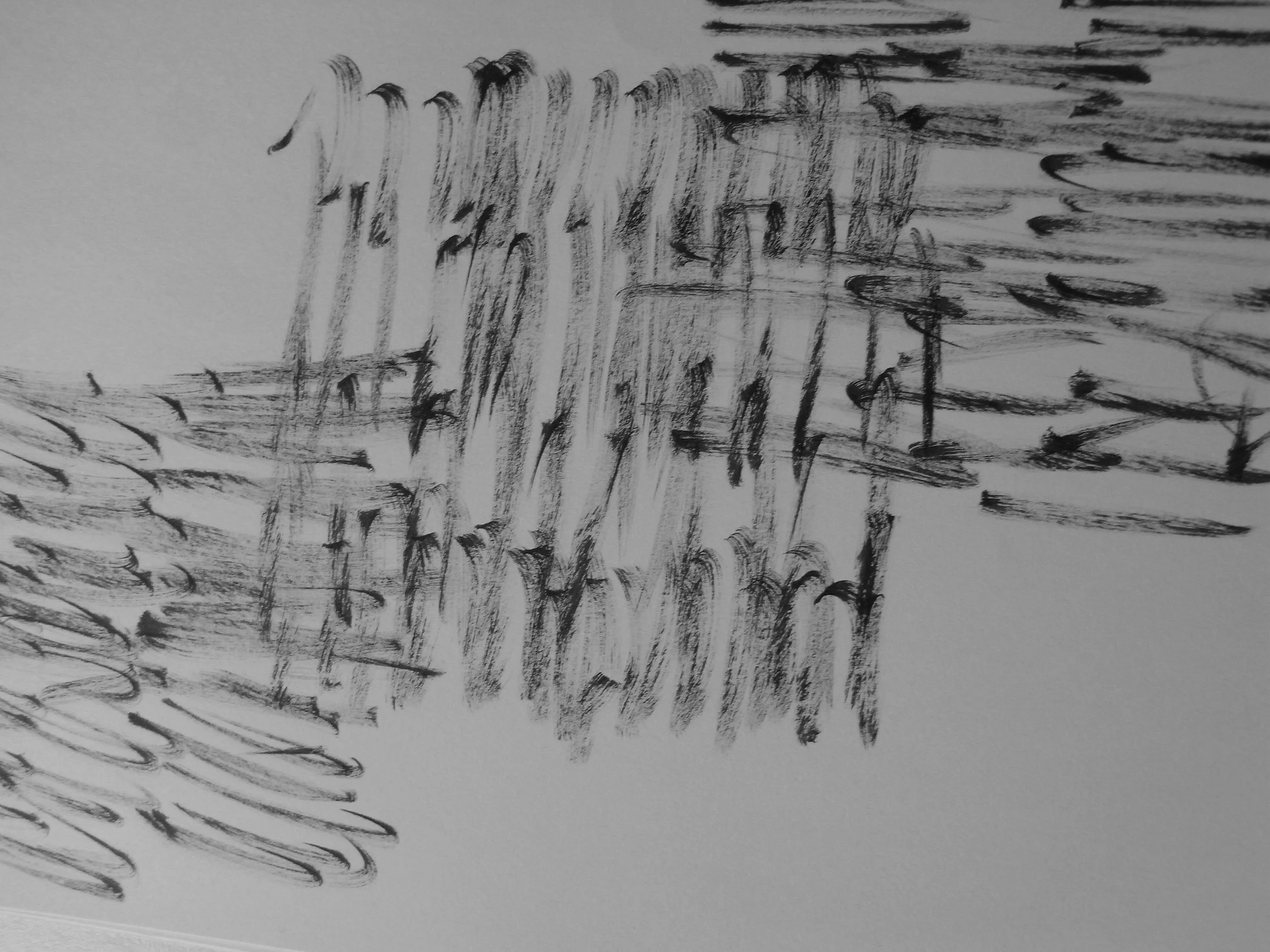Kevin-Brown-Calligraphy-Quixotica-RIMG0609.JPG