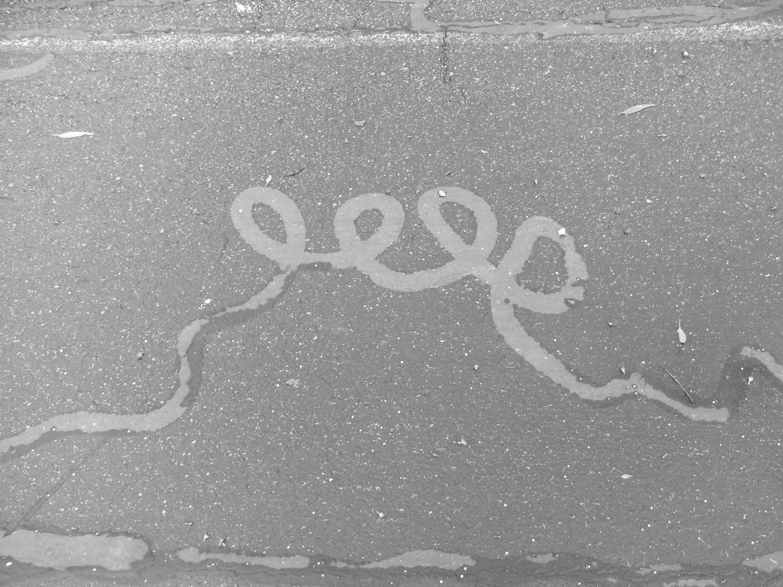 Kevin-Brown-Calligraphy-Signatures-R0055574.JPG
