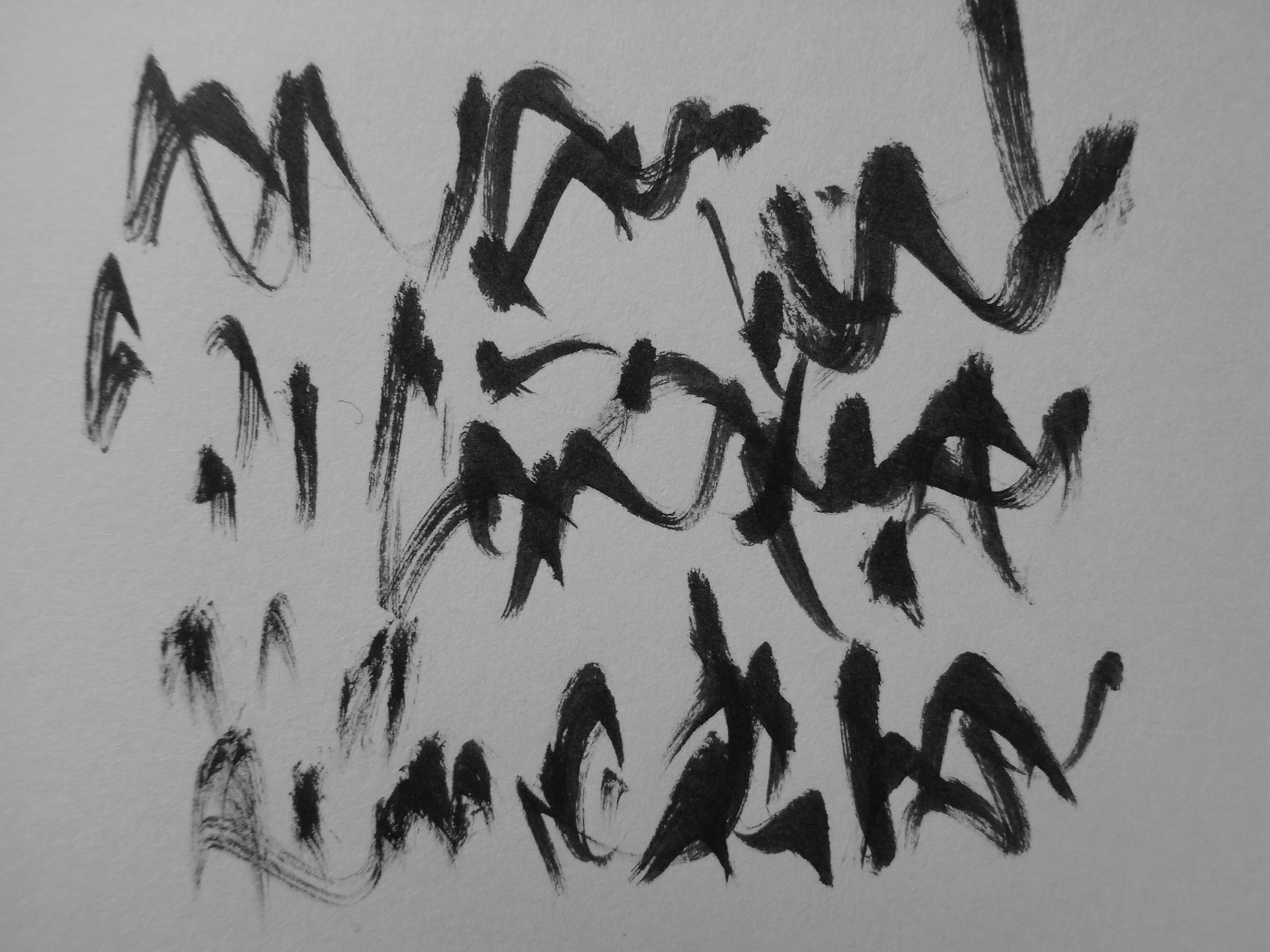 Kevin-Brown-Calligraphy-Quixotica-RIMG0615.JPG