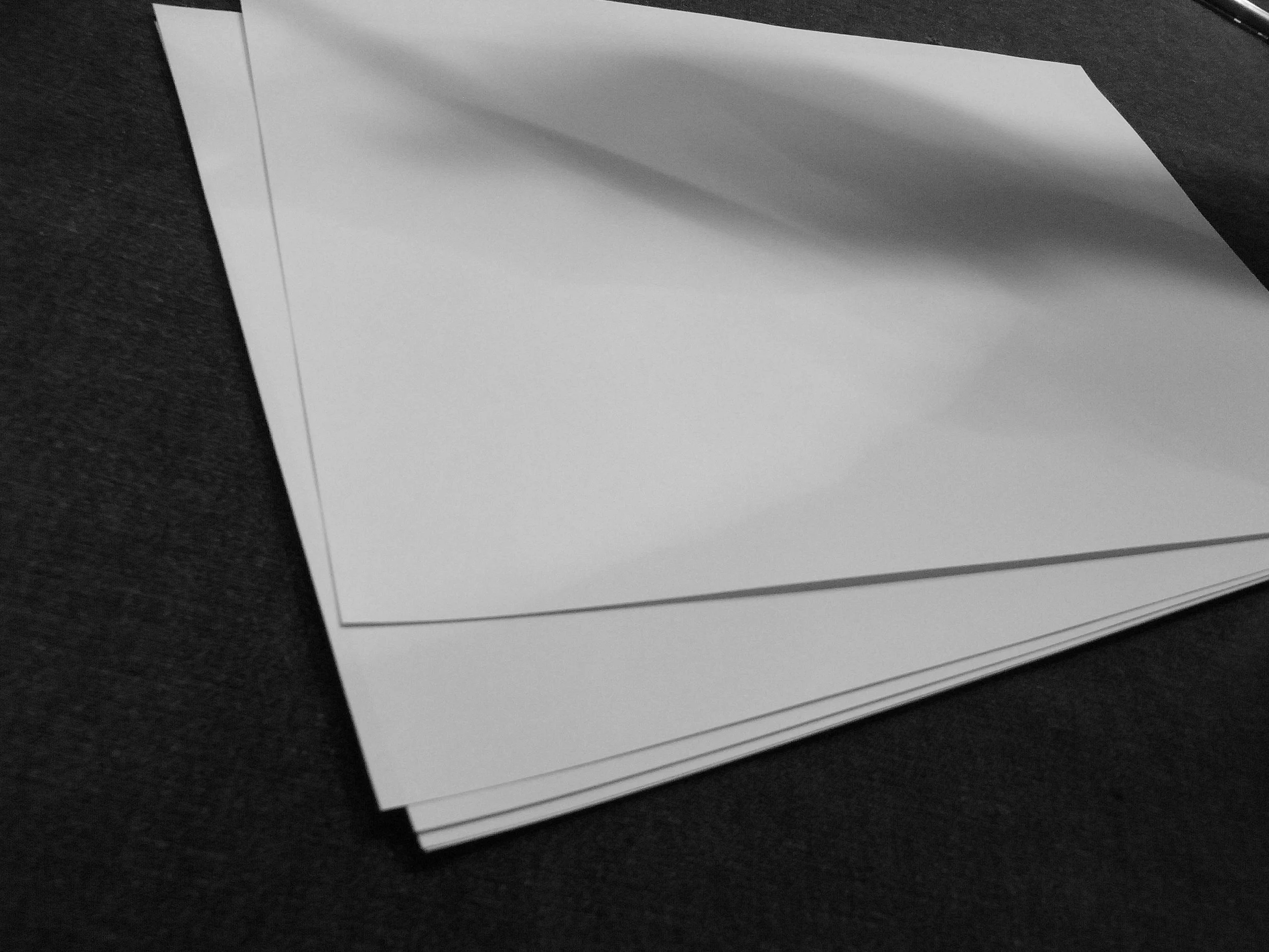 Kevin-Brown-Calligraphy-Loose-leaf-R0020986.JPG
