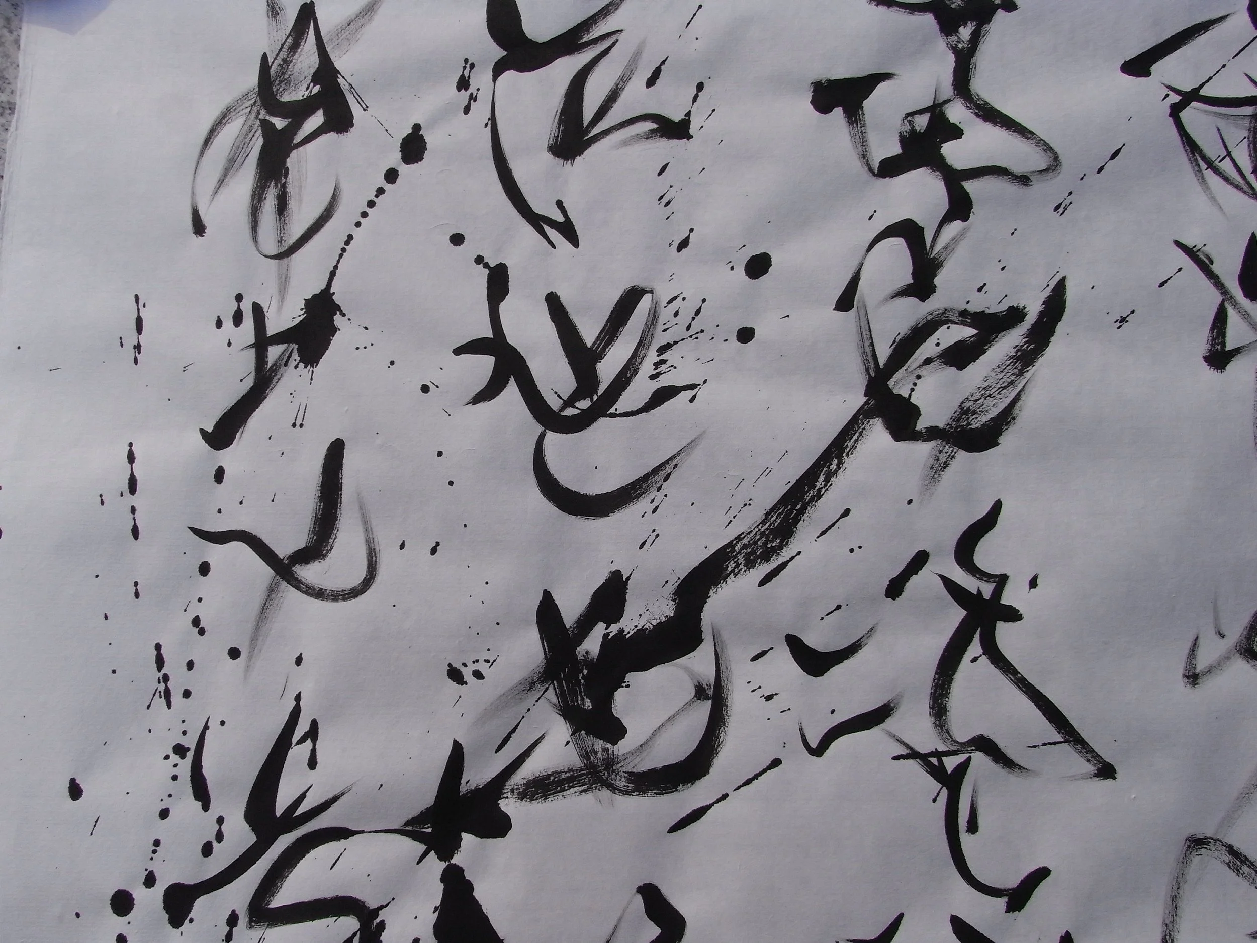 Kevin-Brown-Calligraphy-Praying-Mantis-RIMG1224.JPG