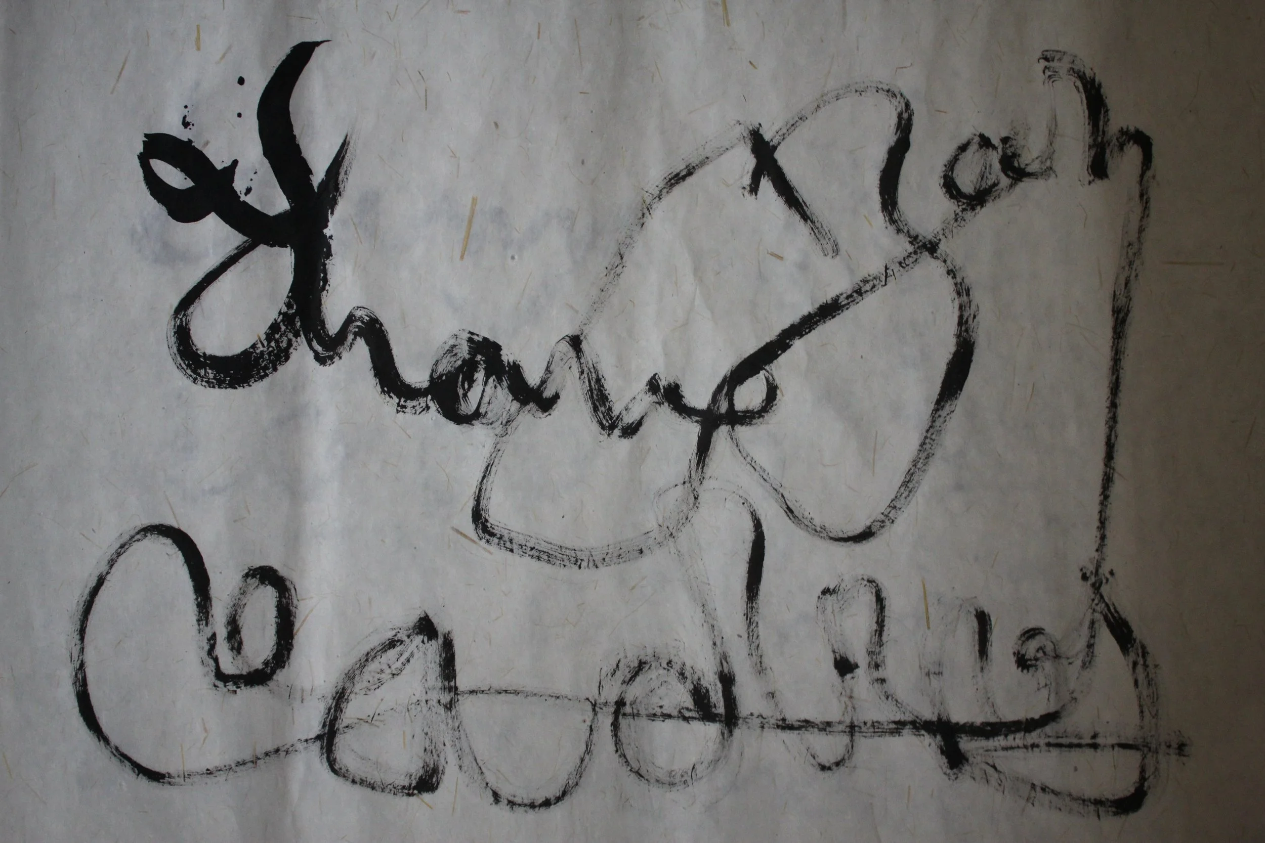 Kevin-Brown-Calligraphy-Signatures-007.JPG