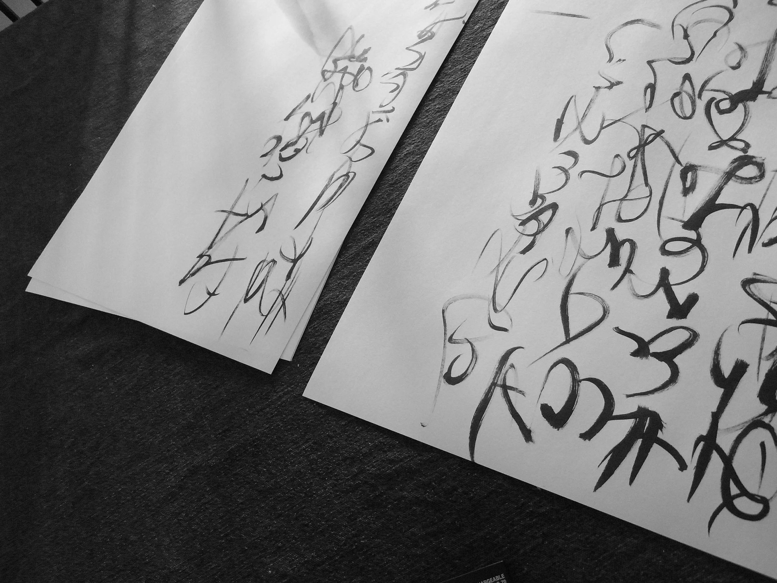 Kevin-Brown-Calligraphy-Constitution-R0019997.JPG