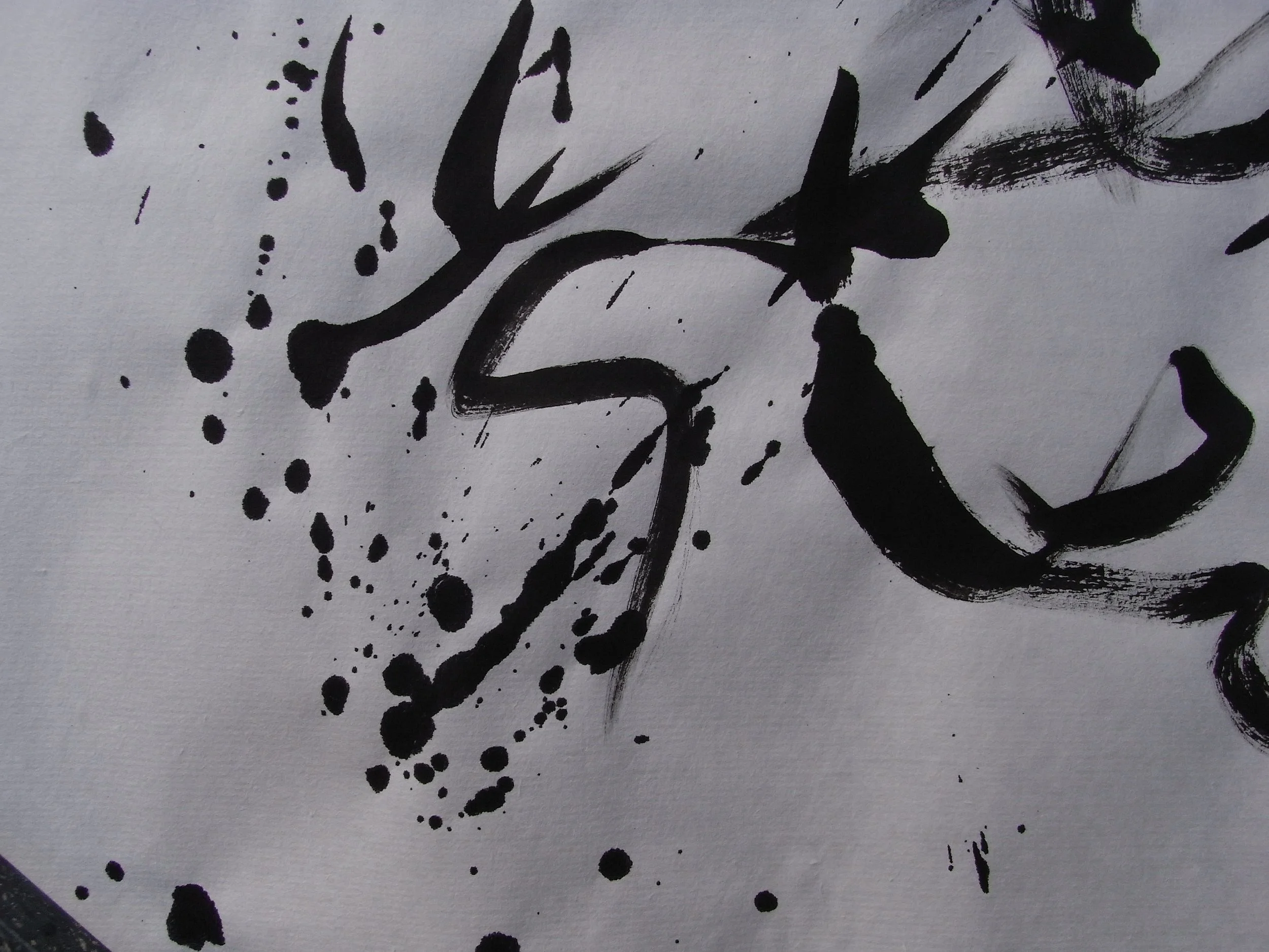 Kevin-Brown-Calligraphy-Praying-Mantis-RIMG1228.JPG