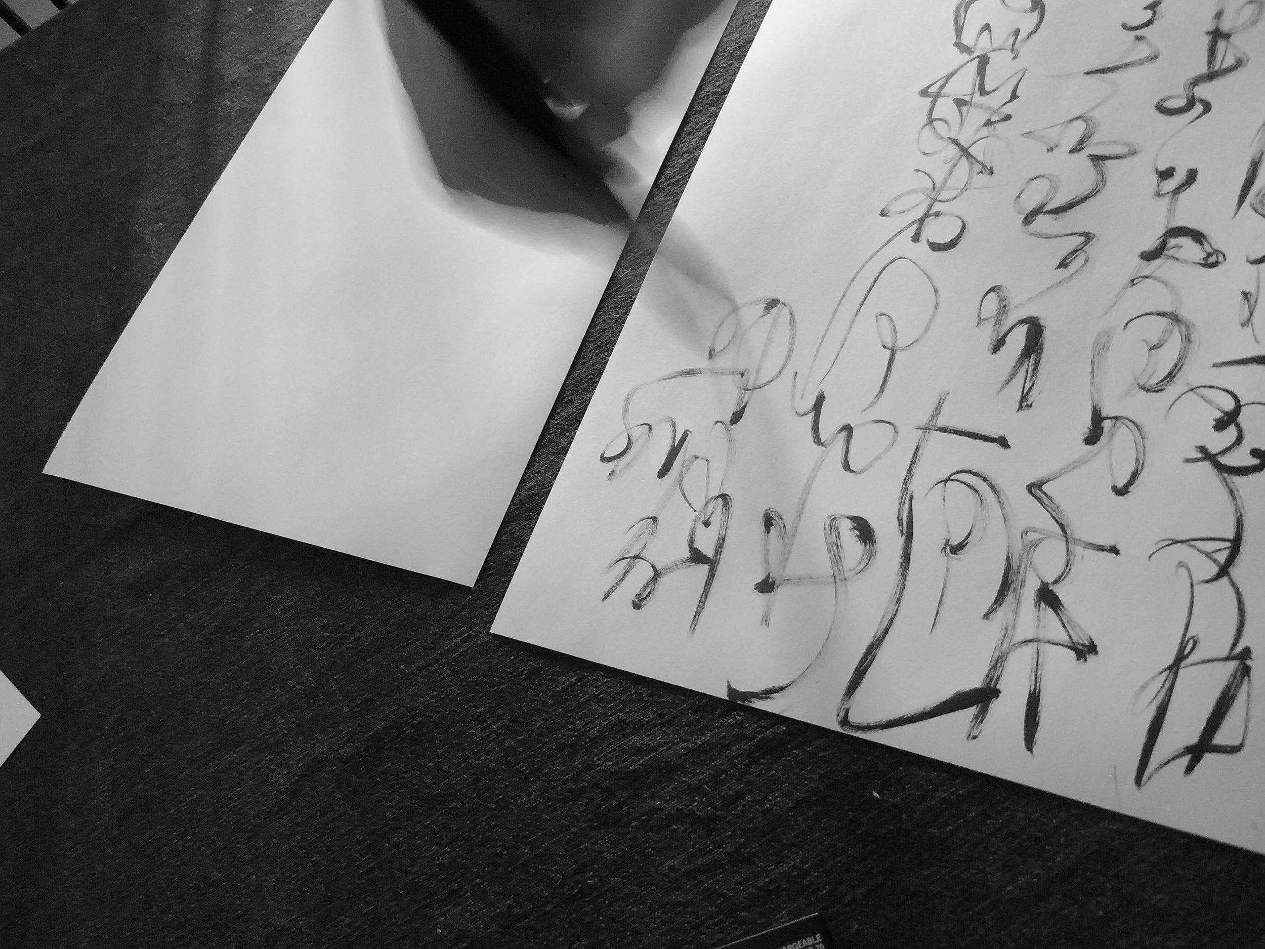 Kevin-Brown-Calligraphy-Constitution-R0020055.JPG