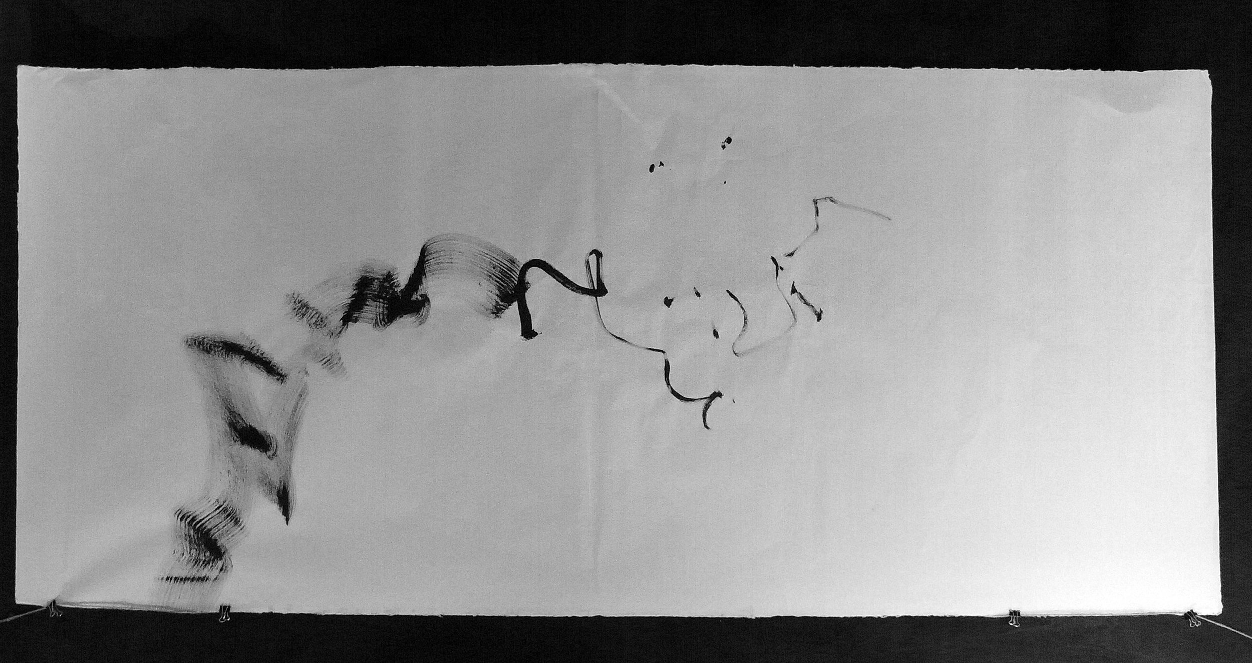 Kevin-Brown-Calligraphy-Life-Sentence-Cropped-II-R0027539ad.JPG