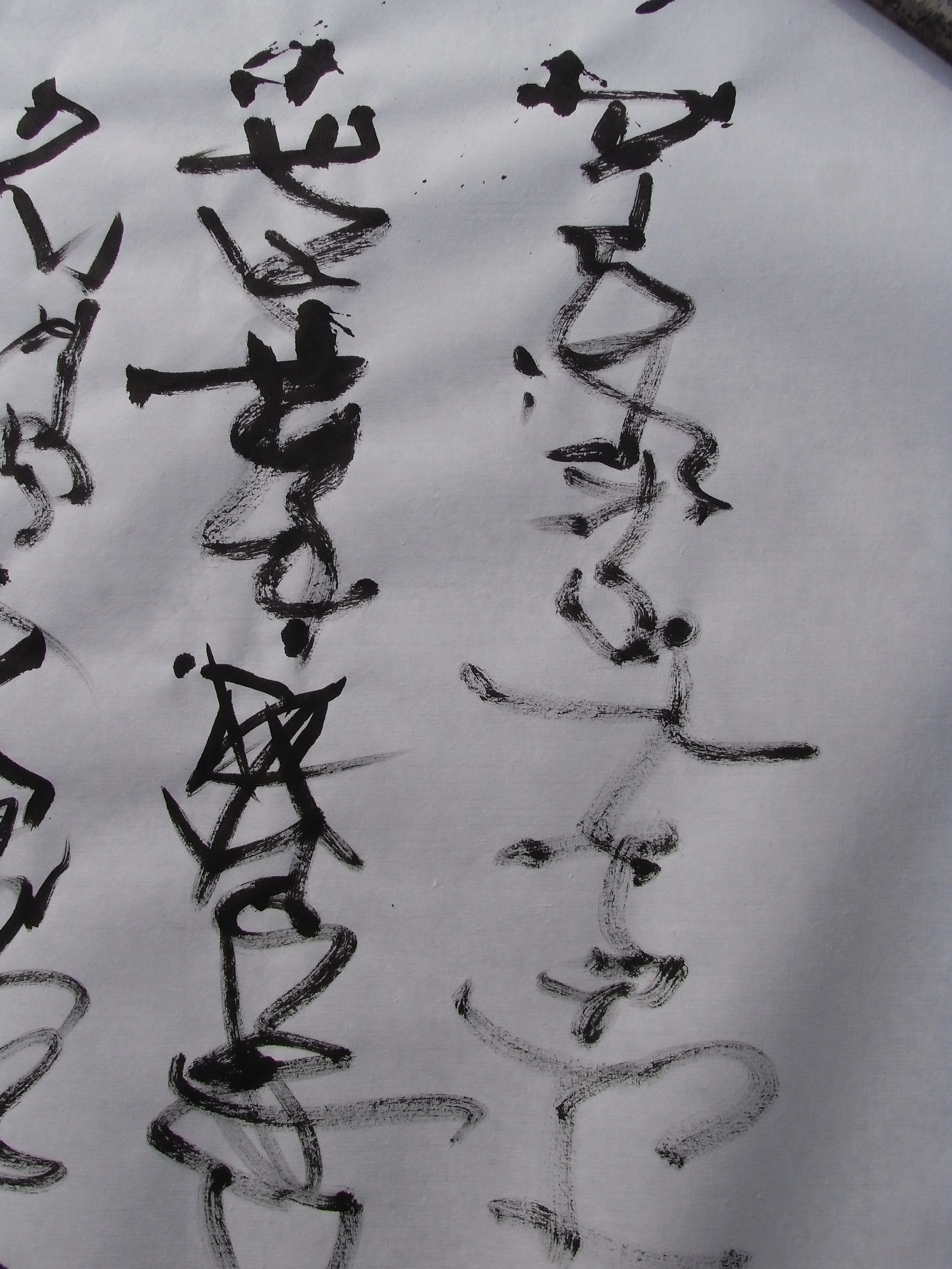 Kevin-Brown-Calligraphy-Praying-Mantis-RIMG1234.JPG