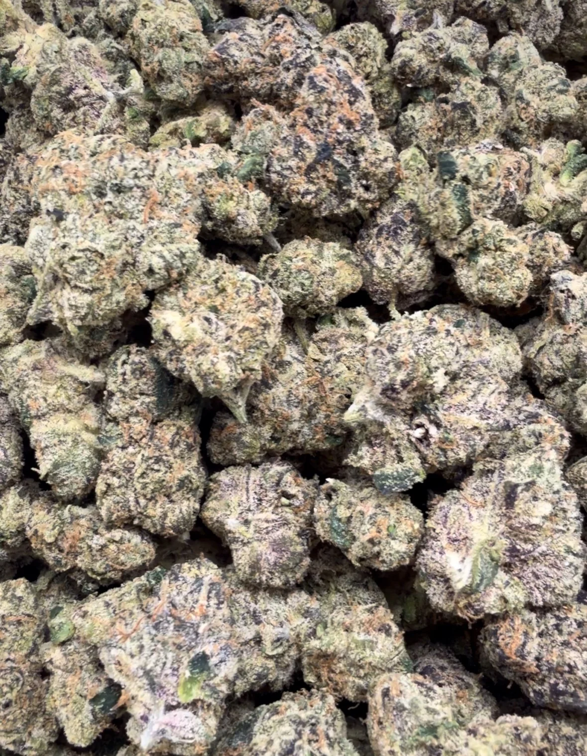 CANDY RUNTS