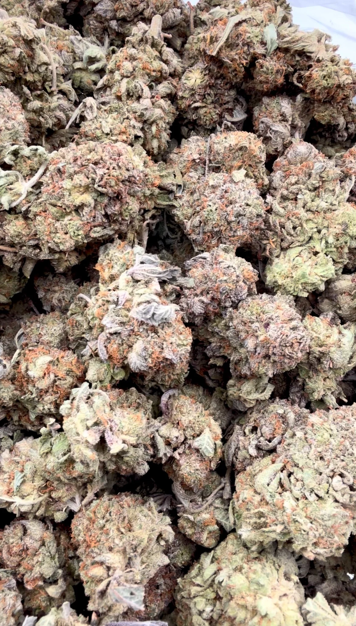 PK