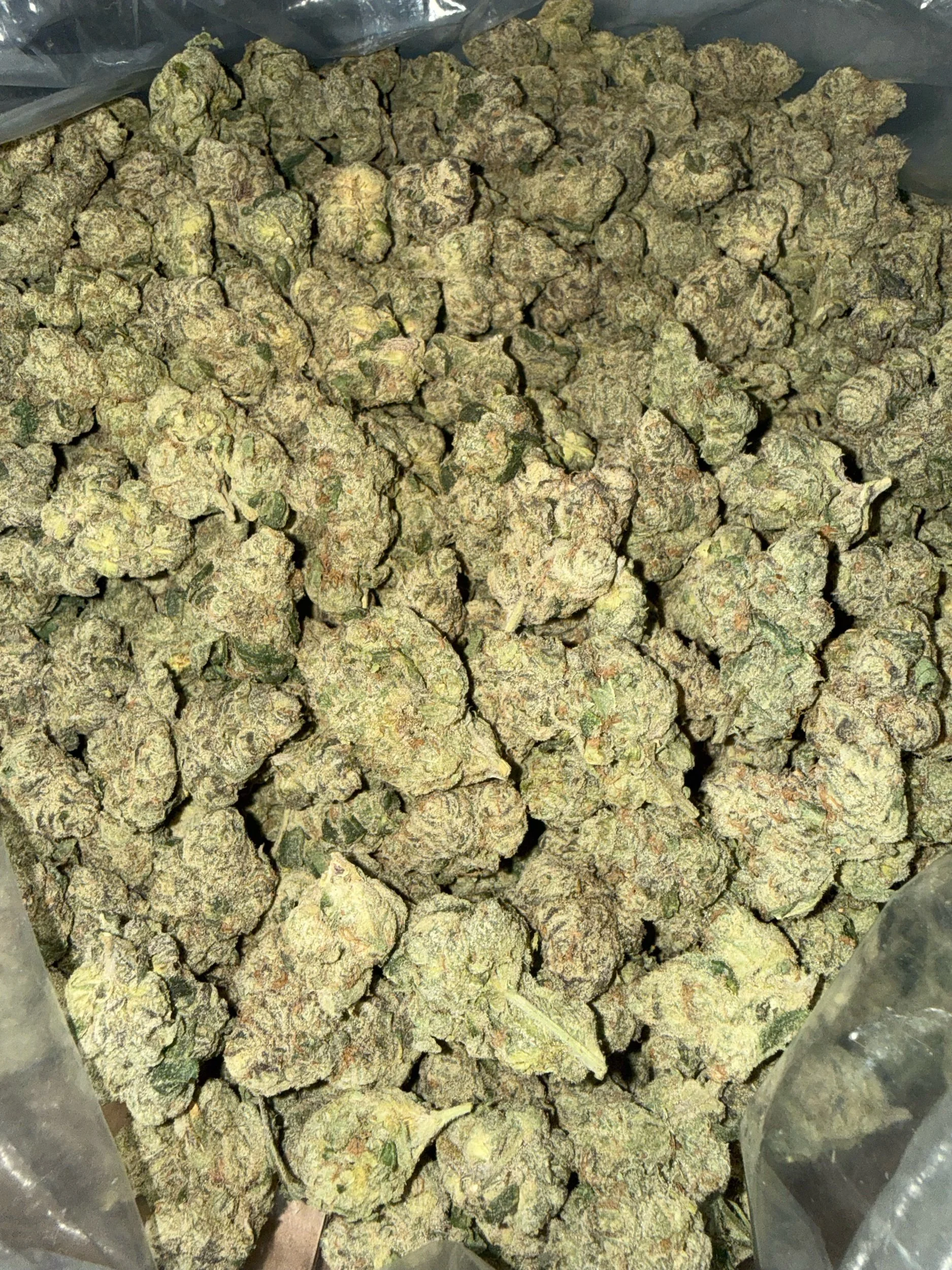 KUSH MINTS