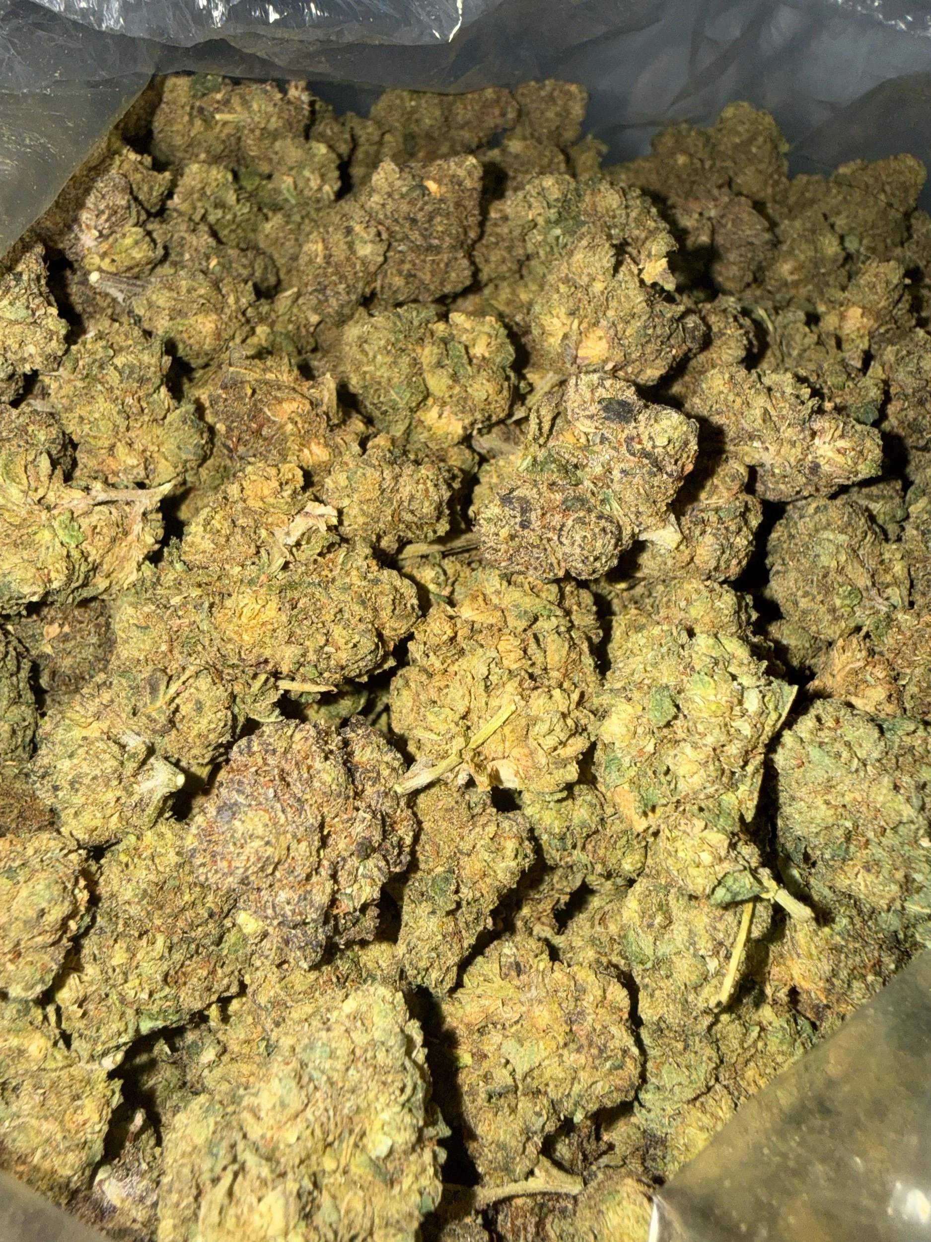 PINK CANDY