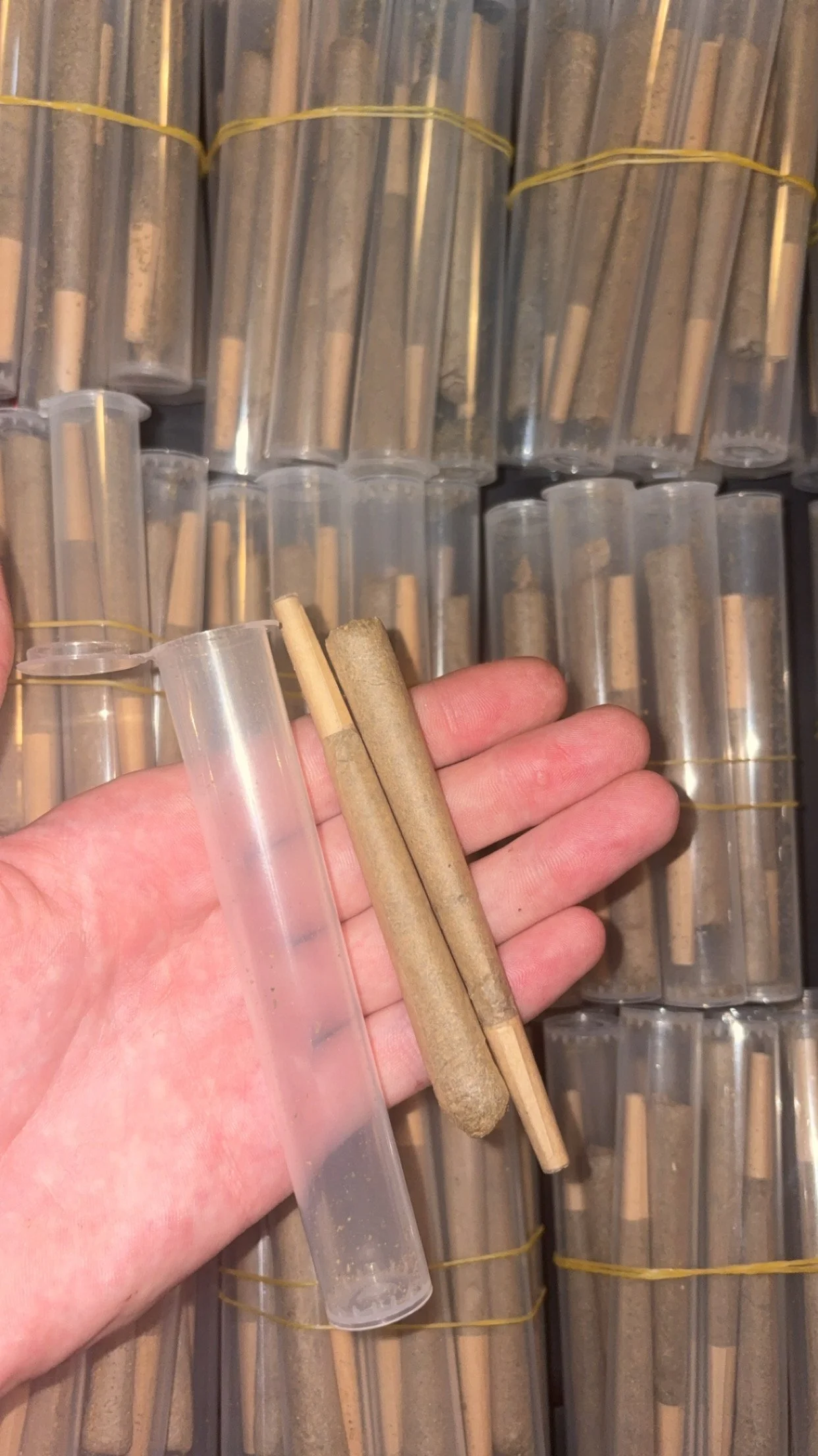 2 IN 1 PRE ROLLS