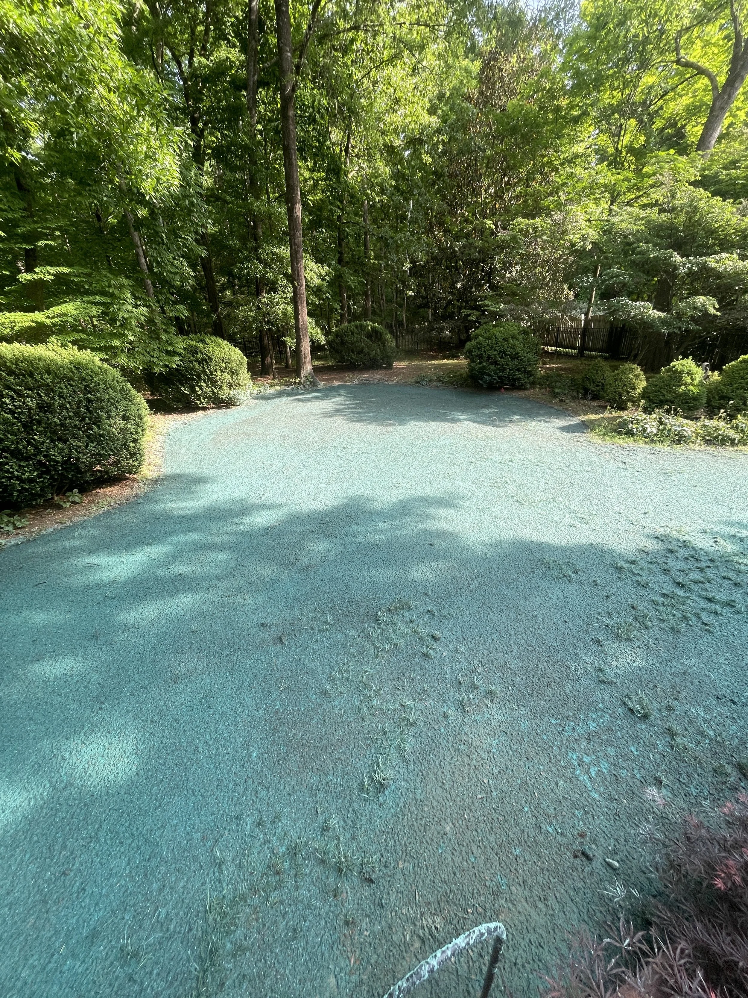 A small miniature golf course with a green turf, surrounded by trees and bushes in sunlight.