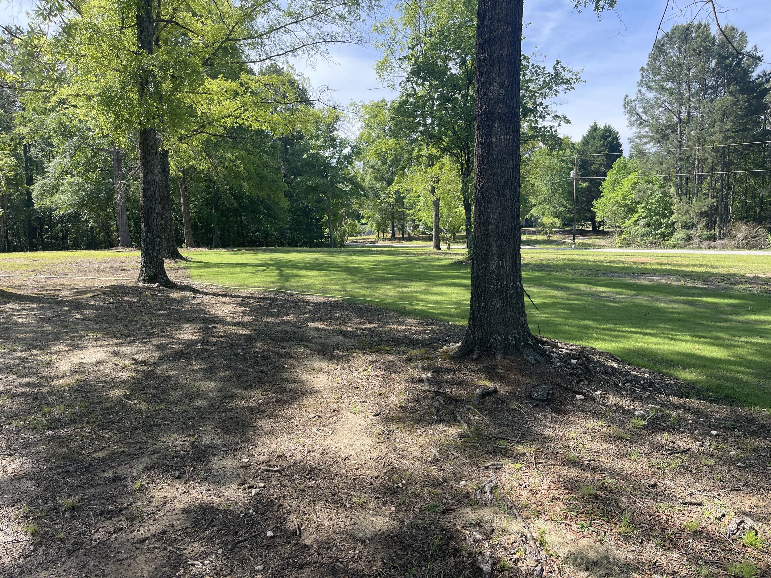 A grassy park with tall trees and a dirt path, under a partly cloudy blue sky.