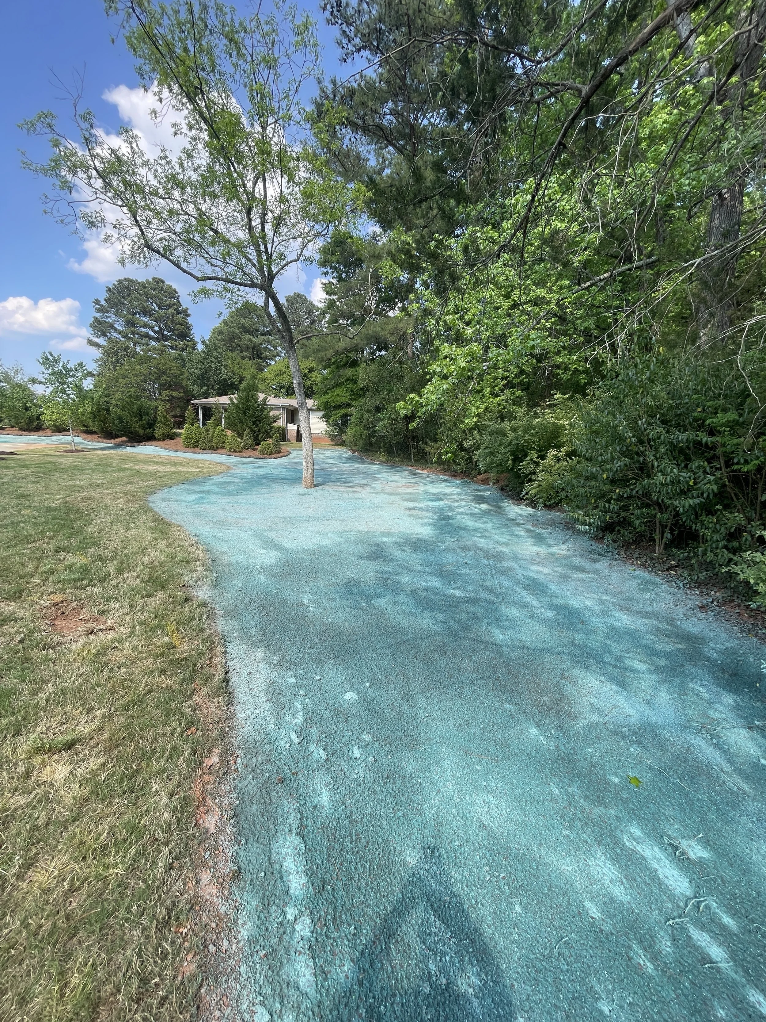 A winding sidewalk with a blue-green hue runs through a green park surrounded by trees and shrubs, with a house visible in the background on a sunny day.