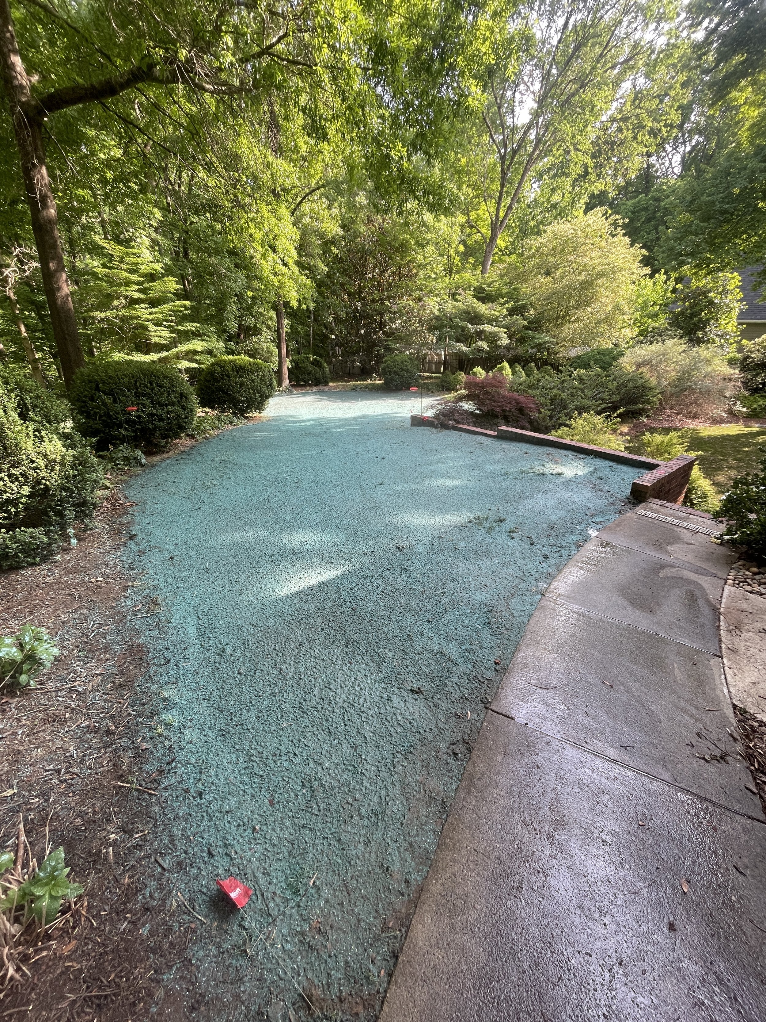 A backyard scene with a winding path, green trees and bushes, and a small garden area with various plants and shrubs.