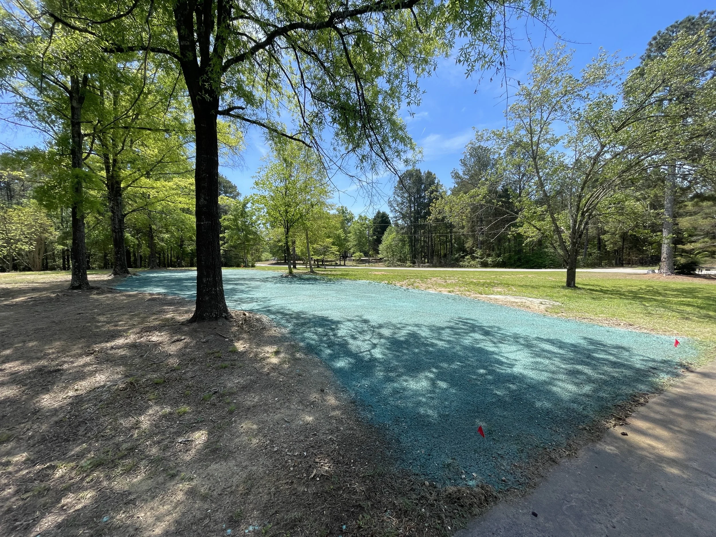 A park scene with trees and a clear blue sky, featuring a blue pathway.