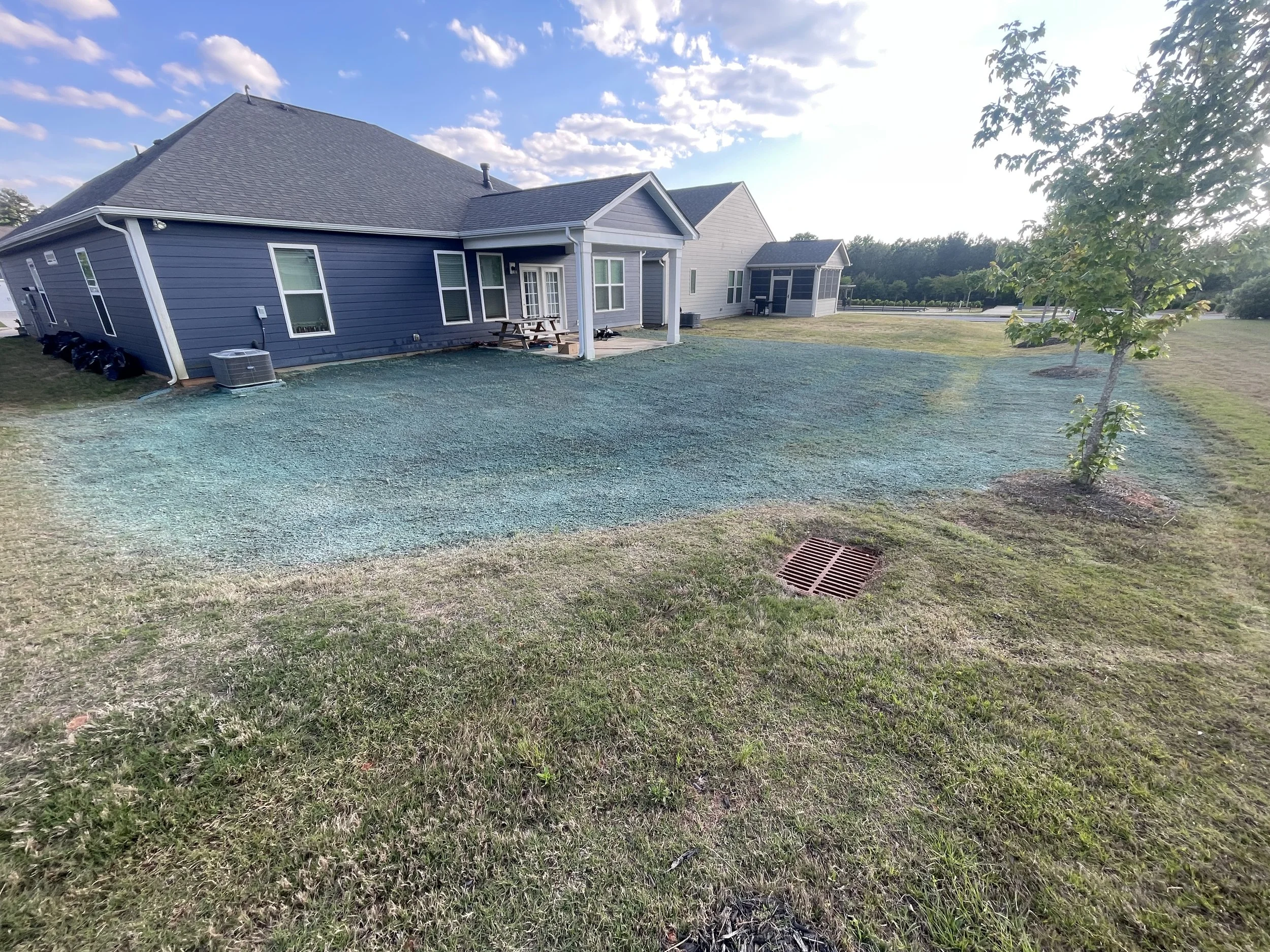 A residential backyard with a blue house, a small porch, a picnic table, a tree, and a grassy yard under a partly cloudy sky.