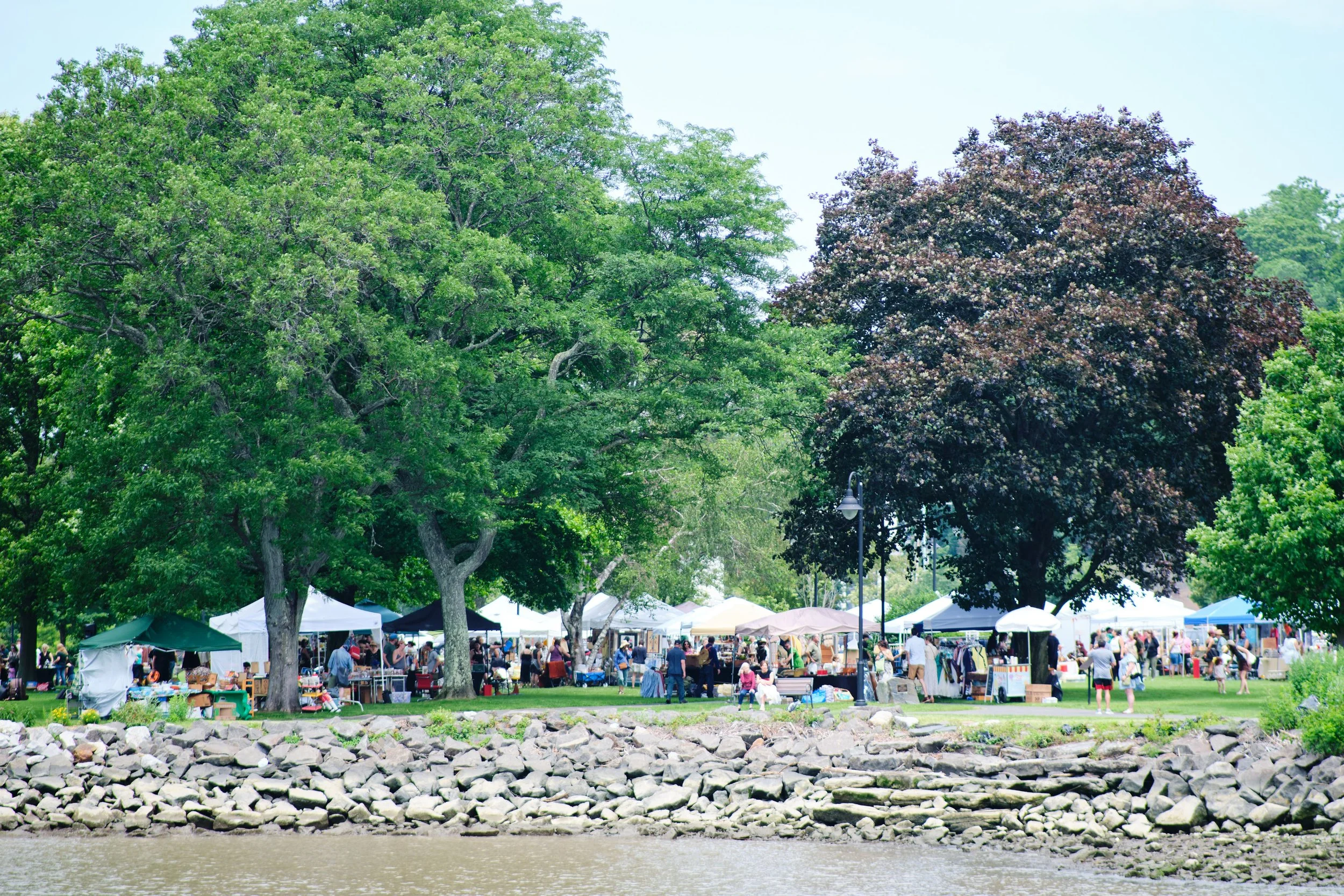People attending a market or fair with numerous tents set up under large green trees near a waterfront.