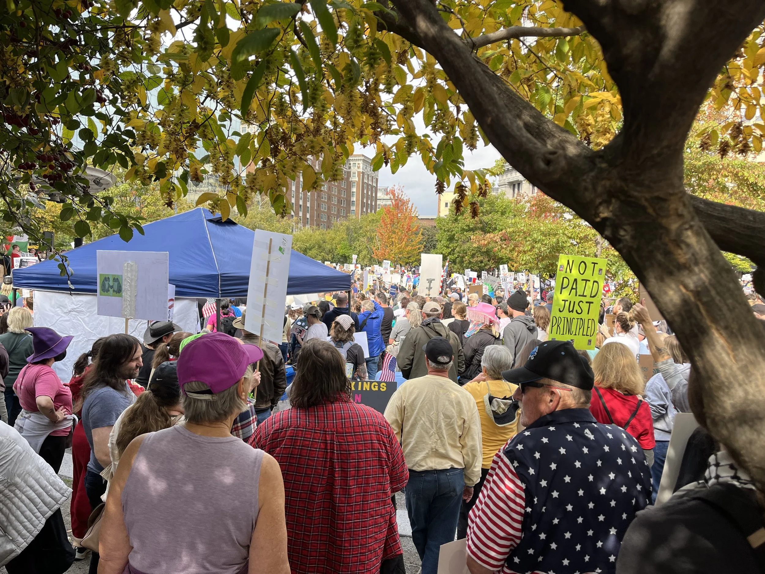 A crowd of people gathered at a protest or rally outdoors under trees with autumn leaves, holding signs and banners, with a blue canopy tent visible in the background.