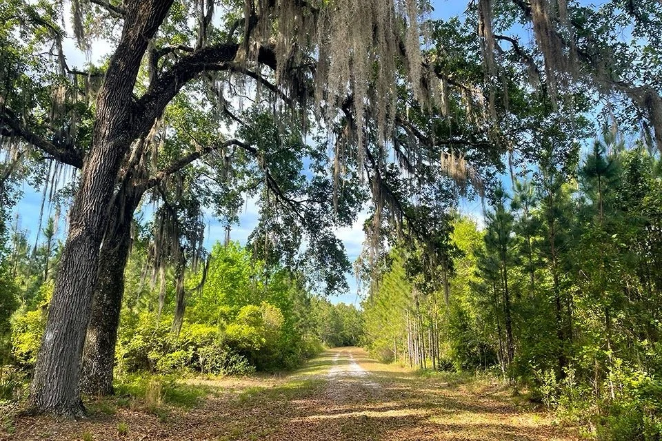 Alachua, Florida | June 12-14, 2026
