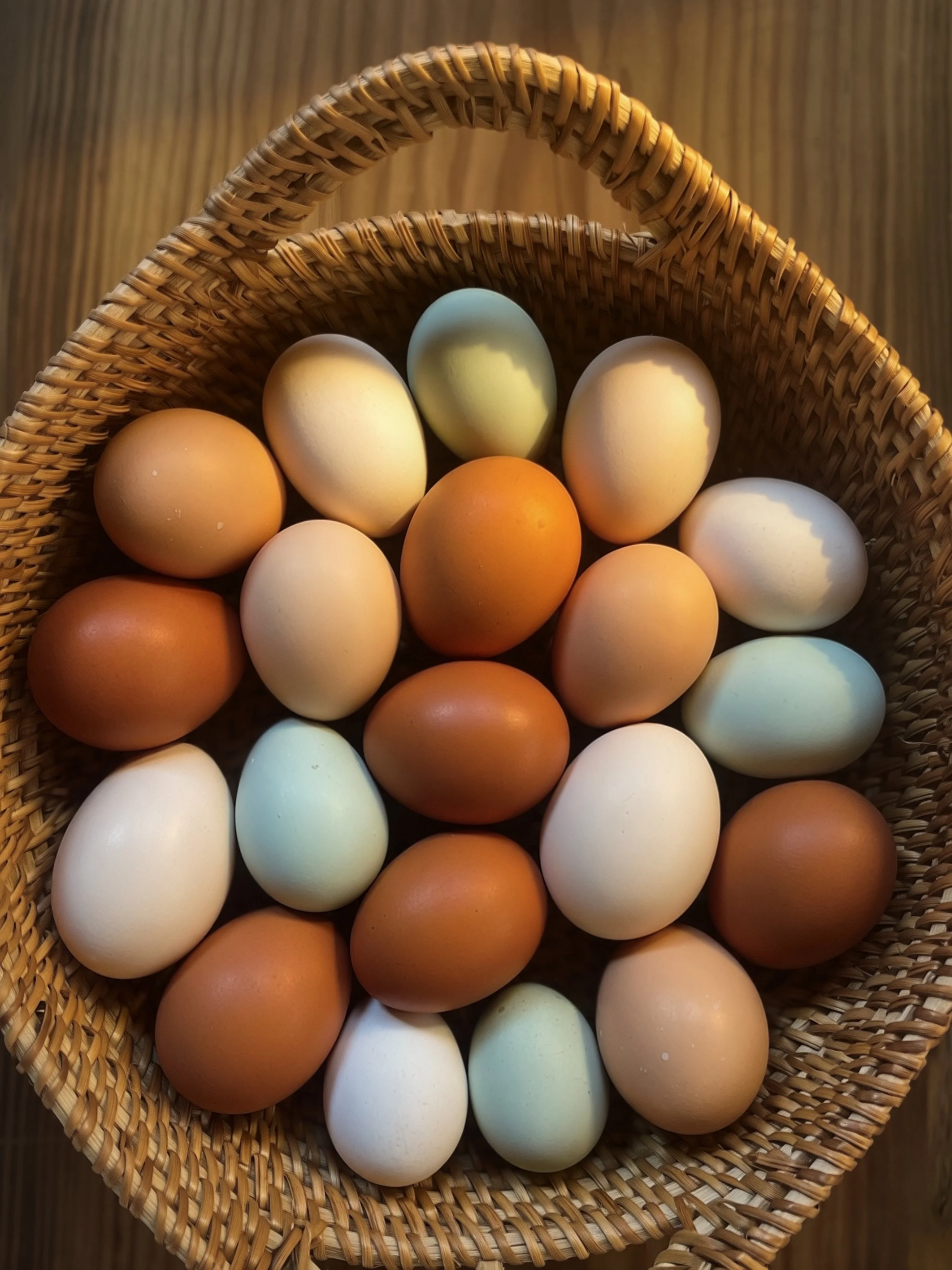 Fresh Free Range Eggs