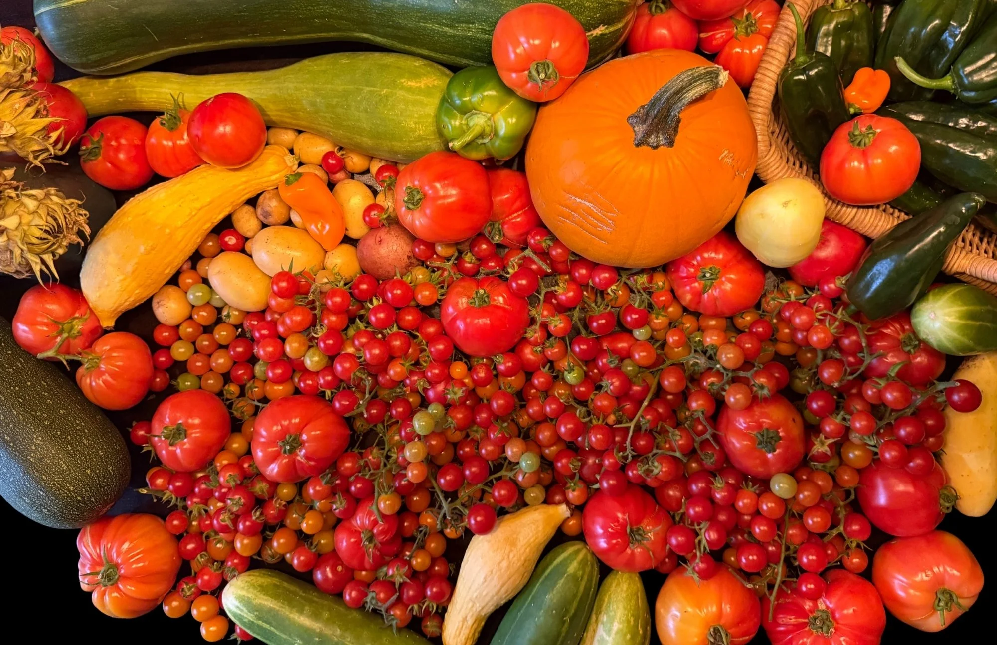 Seasonal Produce