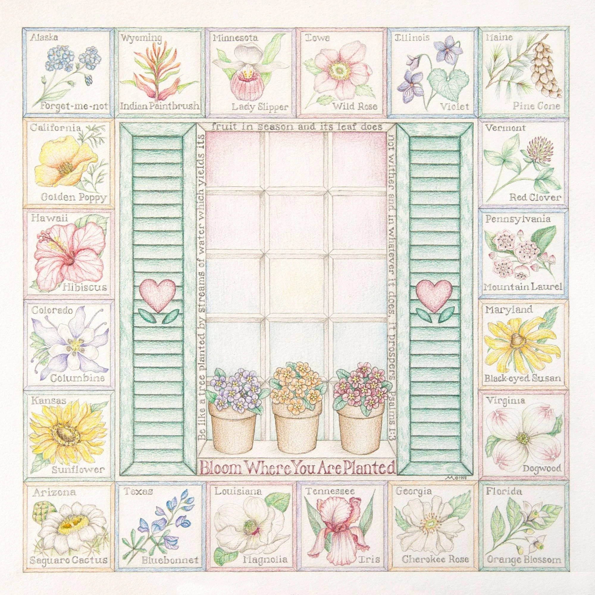 A colorful illustrated chart of wildflowers associated with various U.S. states, including flowers like forget-me-not, indian paintbrush, lady slipper, wild rose, violet, pine cone, golden poppy, red clover, hibiscus, sunflower, and more, with blank 