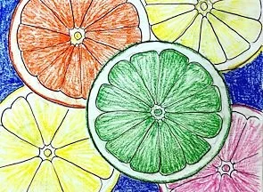 Colorful slices of citrus fruits including lime, lemon, orange, and grapefruit.