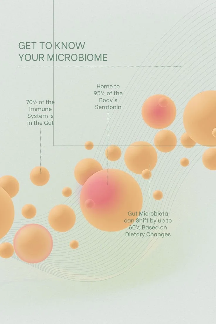 Gut Microbiome Analysis & Health Plan