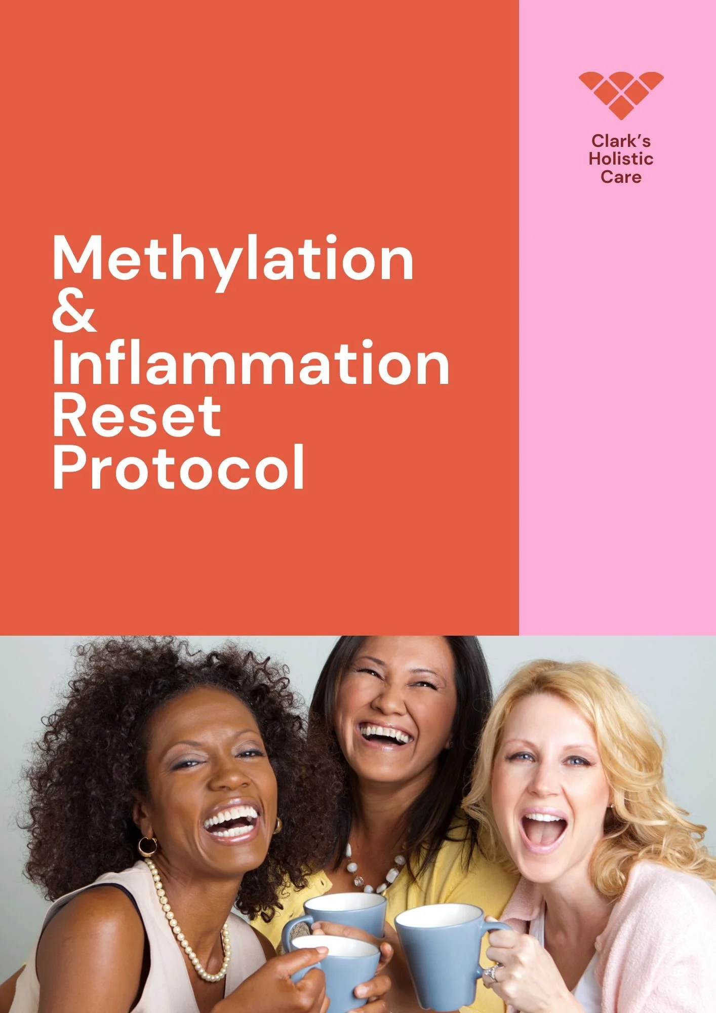 Methylation & Inflammation Reset Protocol