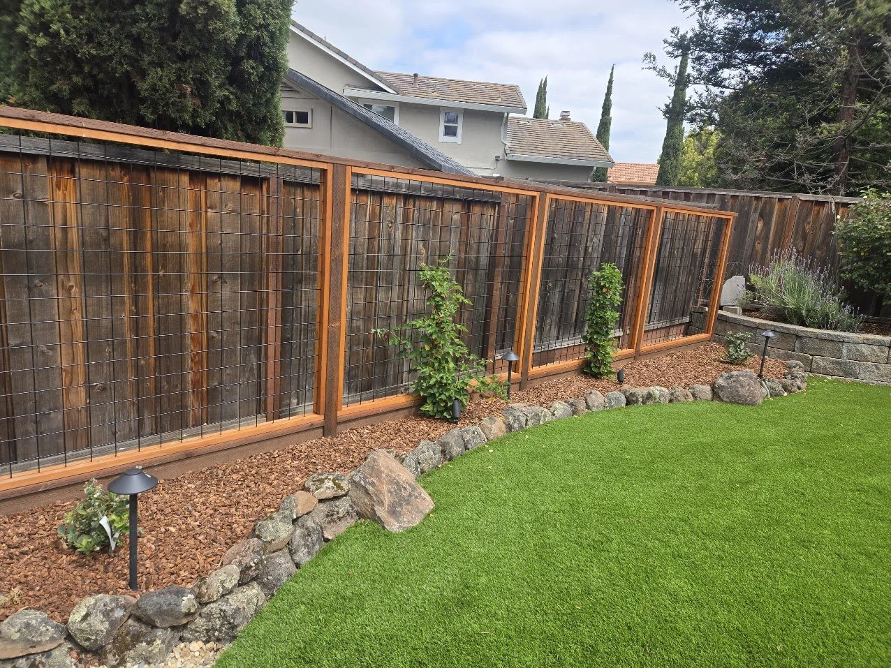 A backyard with a green lawn, a wooden and wire fence, small plants, and garden lights, with a house and tall trees in the background.
