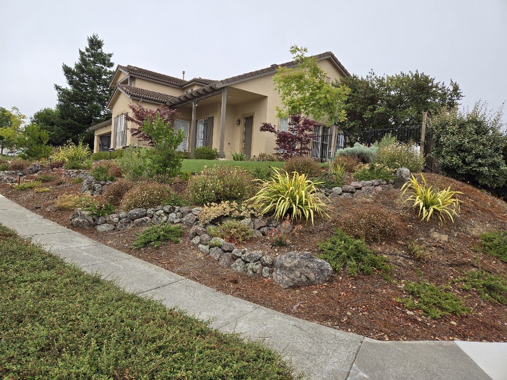 A house on a hill with landscaped garden and sidewalk in front.