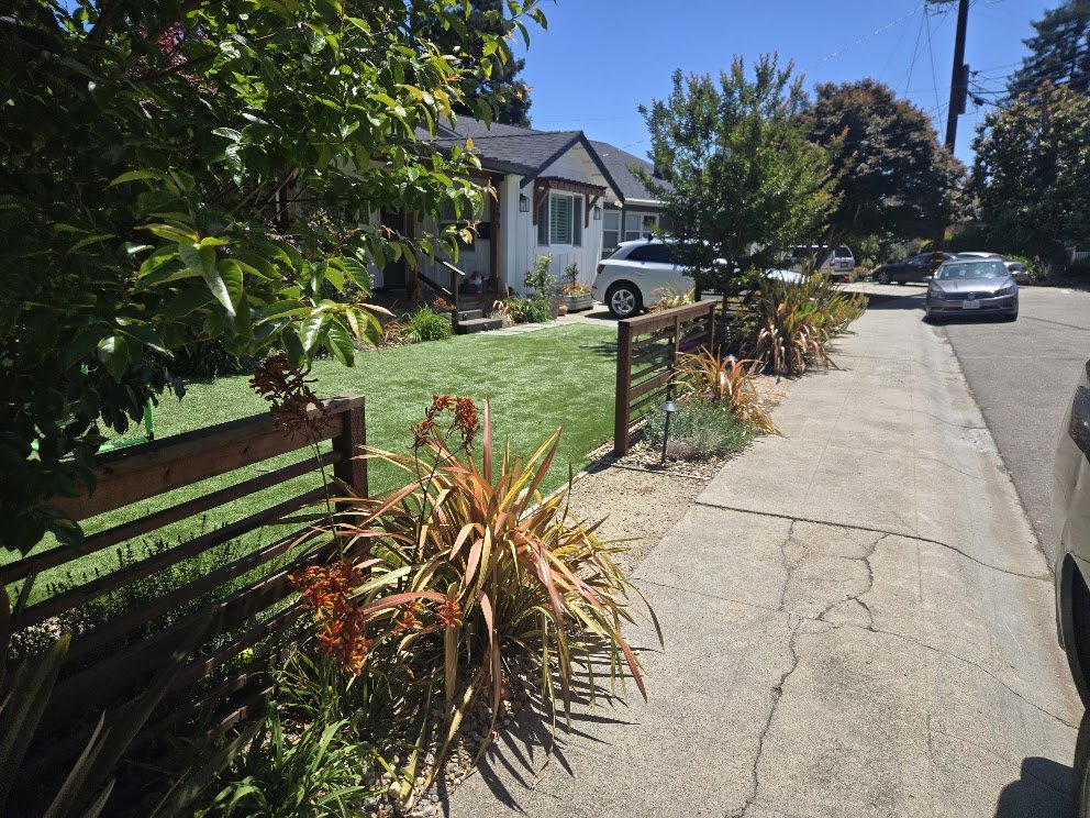 A residential sidewalk with a small front yard, some bushes, and a white house in the background. Several cars are parked along the street under a clear blue sky.