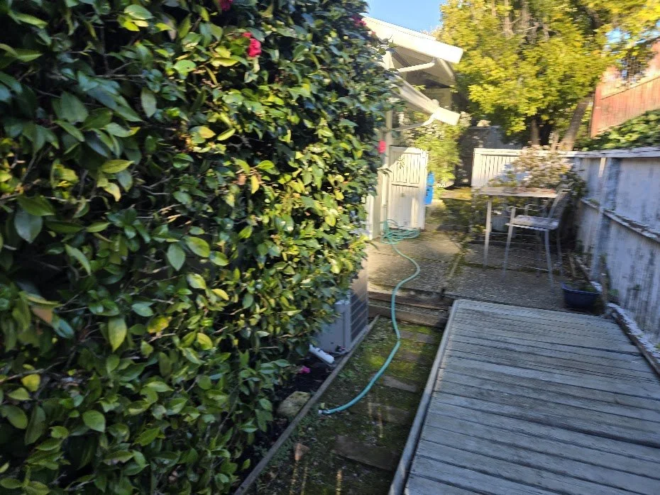 A backyard with a hedge on the left, a hose along the ground, a patio with wooden planks, a dining table with three chairs, a small shed, and trees with yellow leaves in the background.