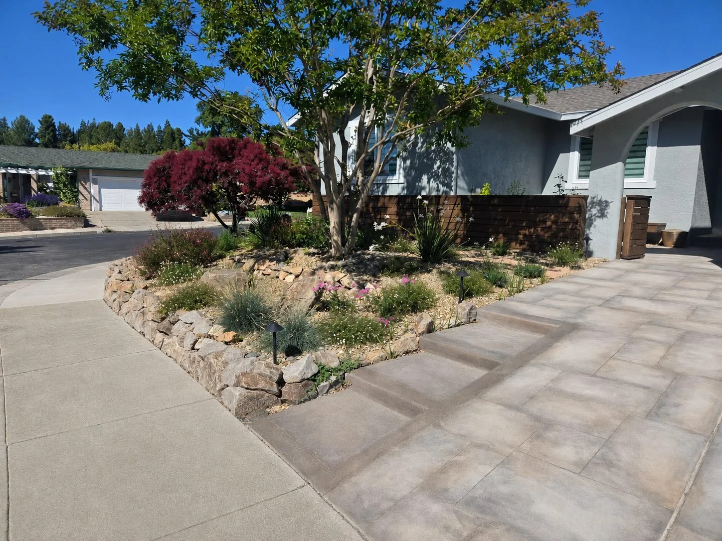 Residential front yard with landscaped garden bed featuring a small tree, flowering plants, and decorative rocks, adjacent to a paved walkway and house entrance under a clear blue sky.