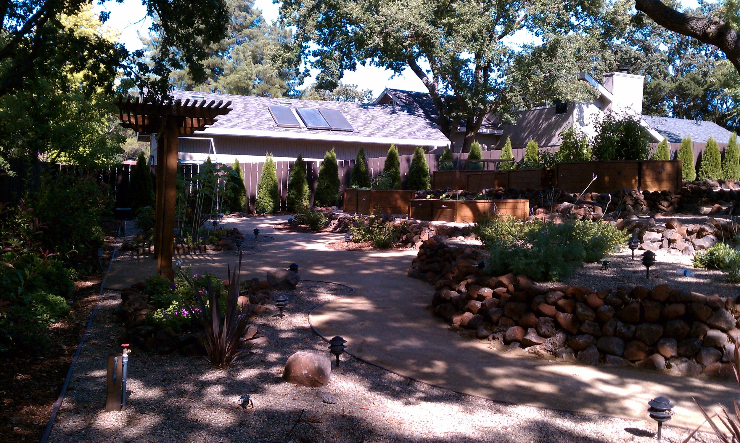 A backyard garden with a walk path, landscaped with rocks and various plants, surrounded by a brown wooden fence. There are tall trees providing shade, and the house in the background has solar panels on the roof.