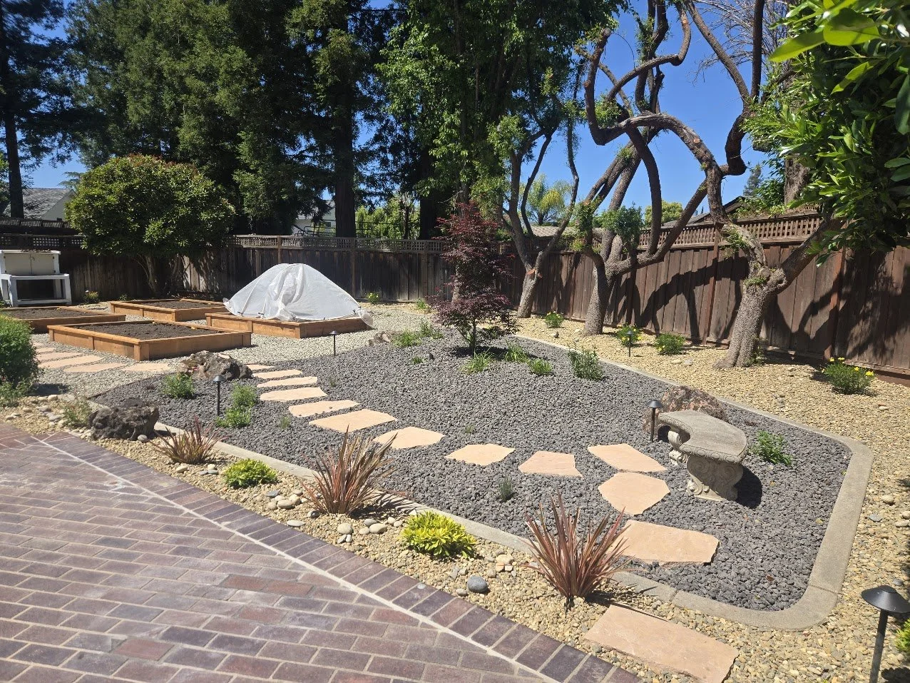 A landscaped backyard garden with a wooden fence, trees, a stone pathway, small plants, and garden beds covered with fabric.