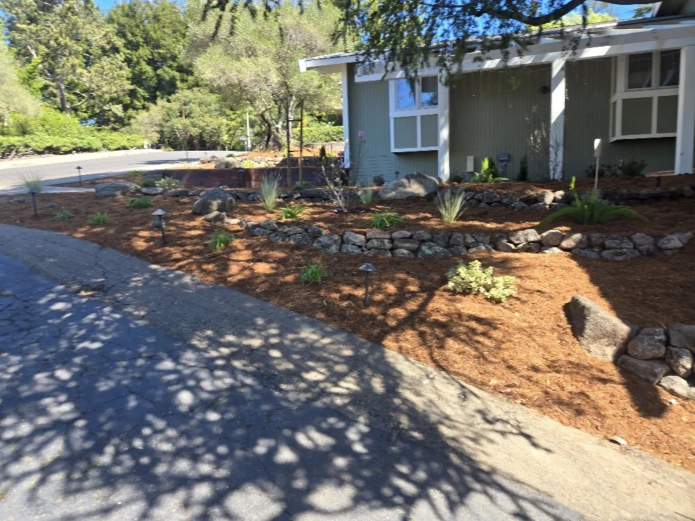 A landscaped front yard with a gravel driveway, planted with small plants, shrubs, and rocks, in front of a house with light green siding and large windows, during daytime.