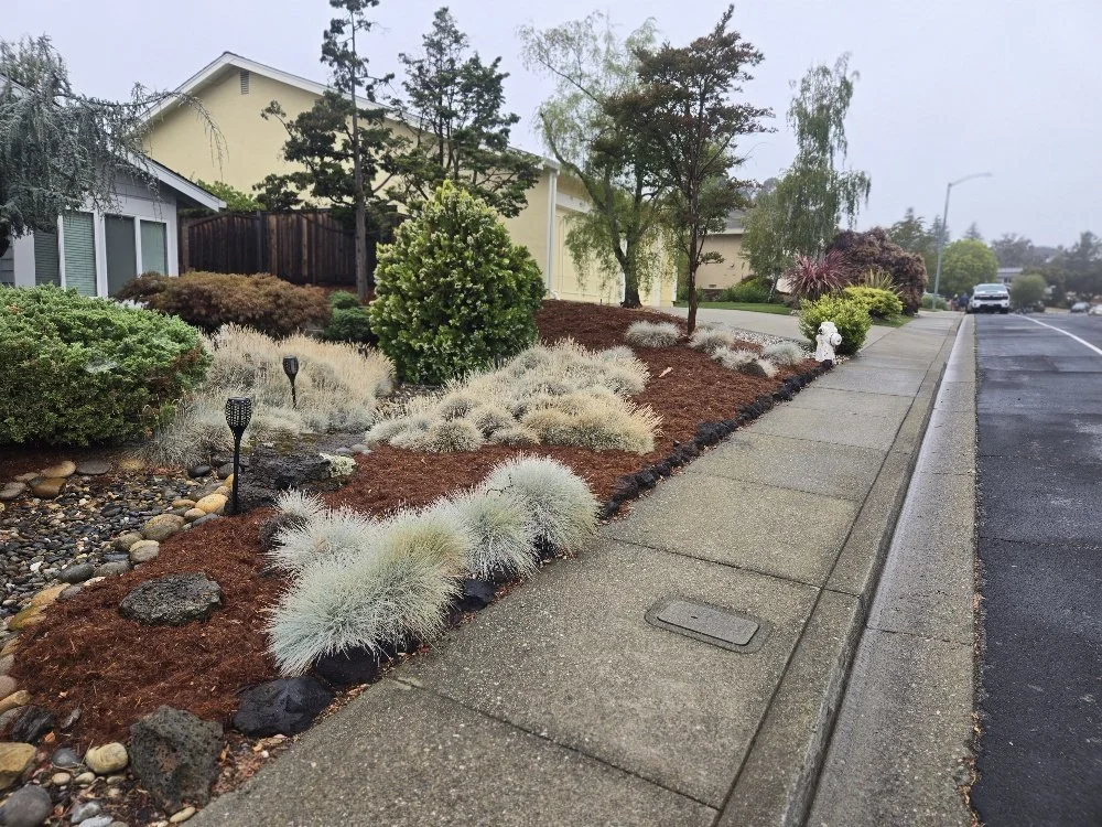 Well-maintained residential landscaping along a sidewalk, with various shrubs, small trees, decorative grasses, and pathway lighting under cloudy skies.