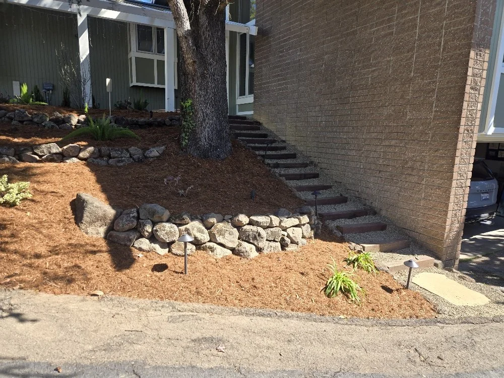 Landscape featuring a sloped yard with mulch, rocks, a large tree, plants, and outdoor lighting, alongside a brick wall with stairs leading up to a house.